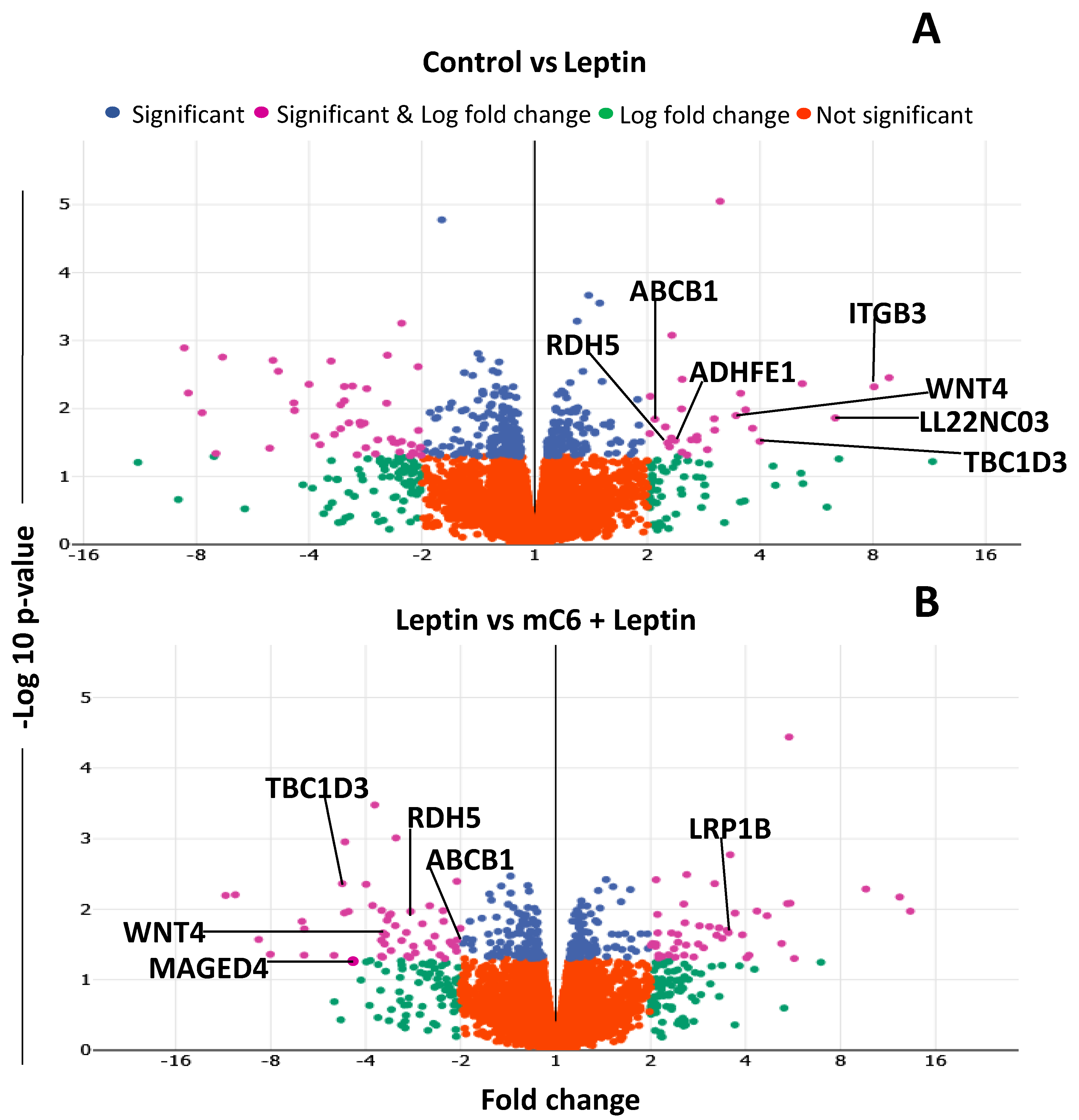 Ijms 21 03794 g008 Ijms 21 03794 g008