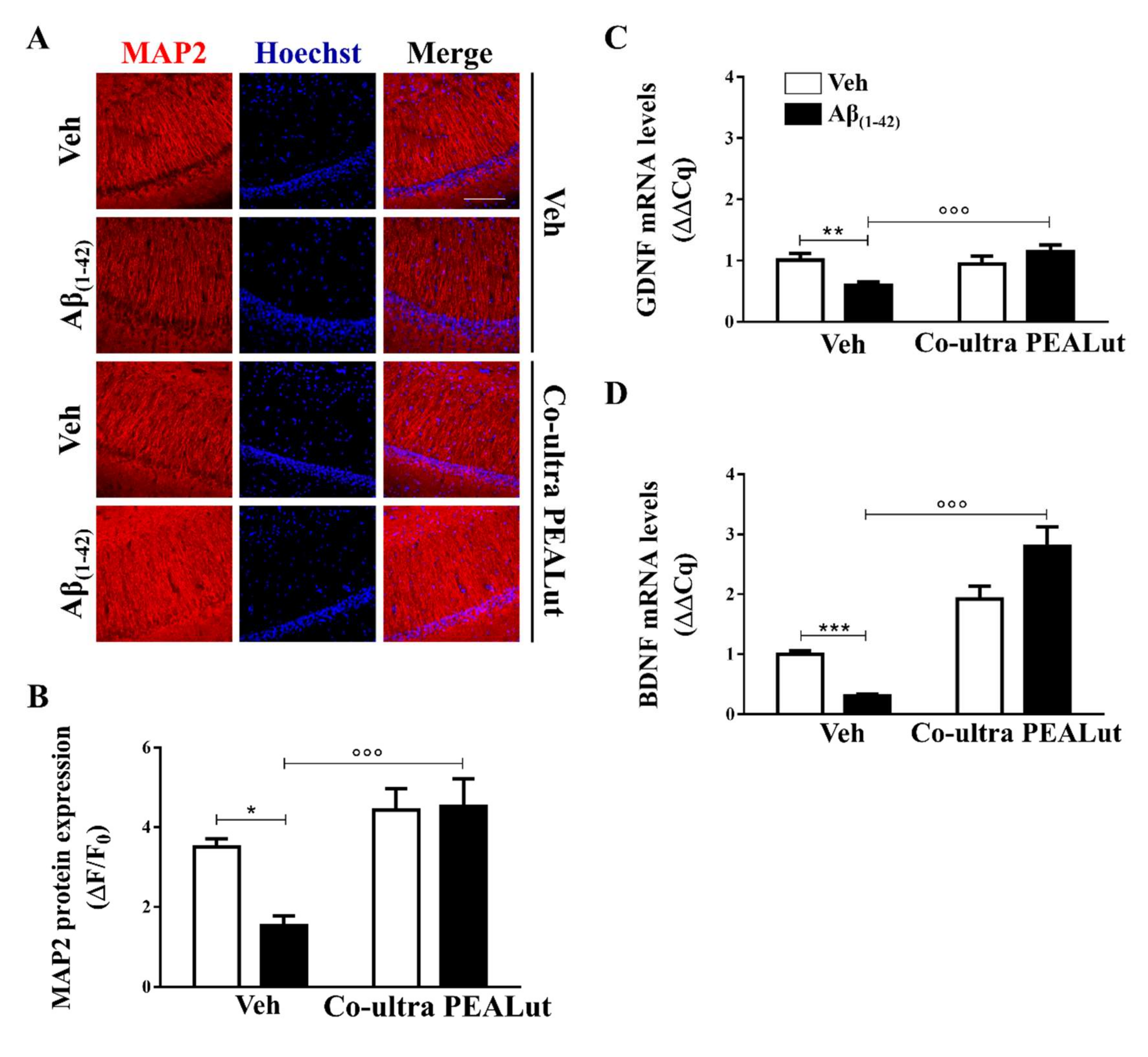 Ijms 21 03802 g003 Ijms 21 03802 g003