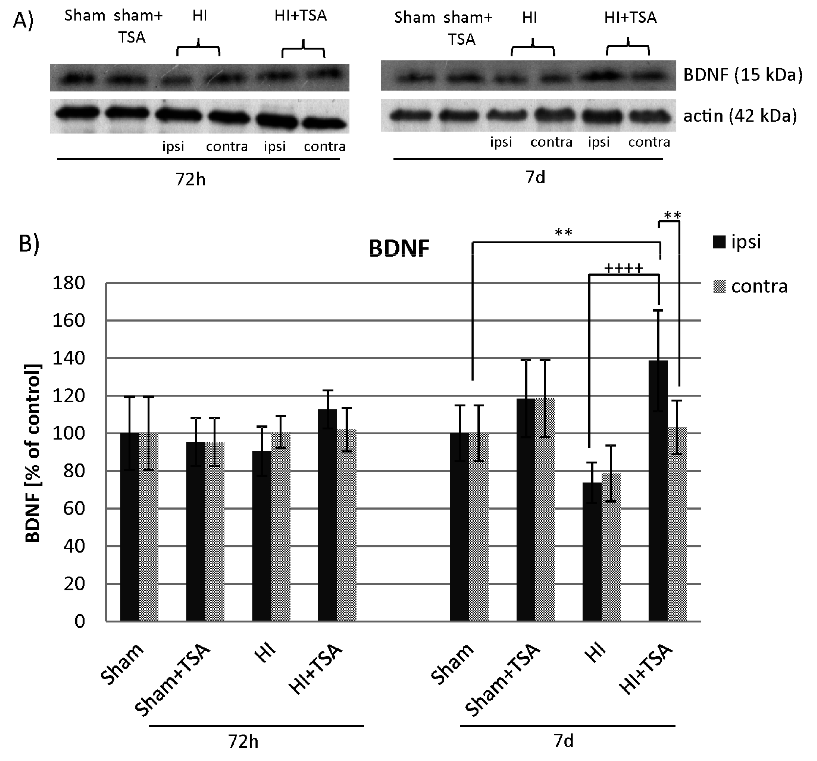 Ijms 21 03808 g009 Ijms 21 03808 g009