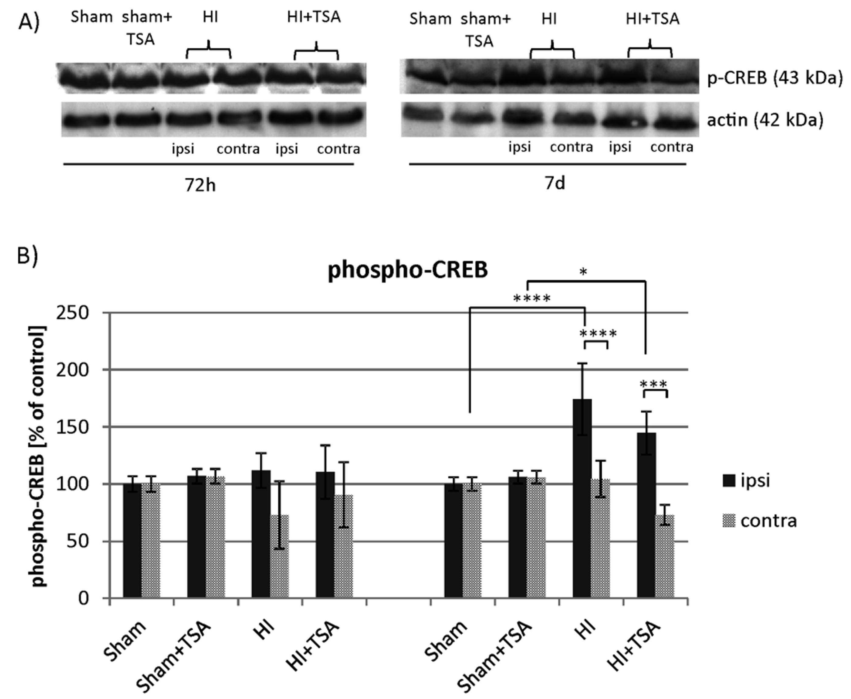 Ijms 21 03808 g011 Ijms 21 03808 g011