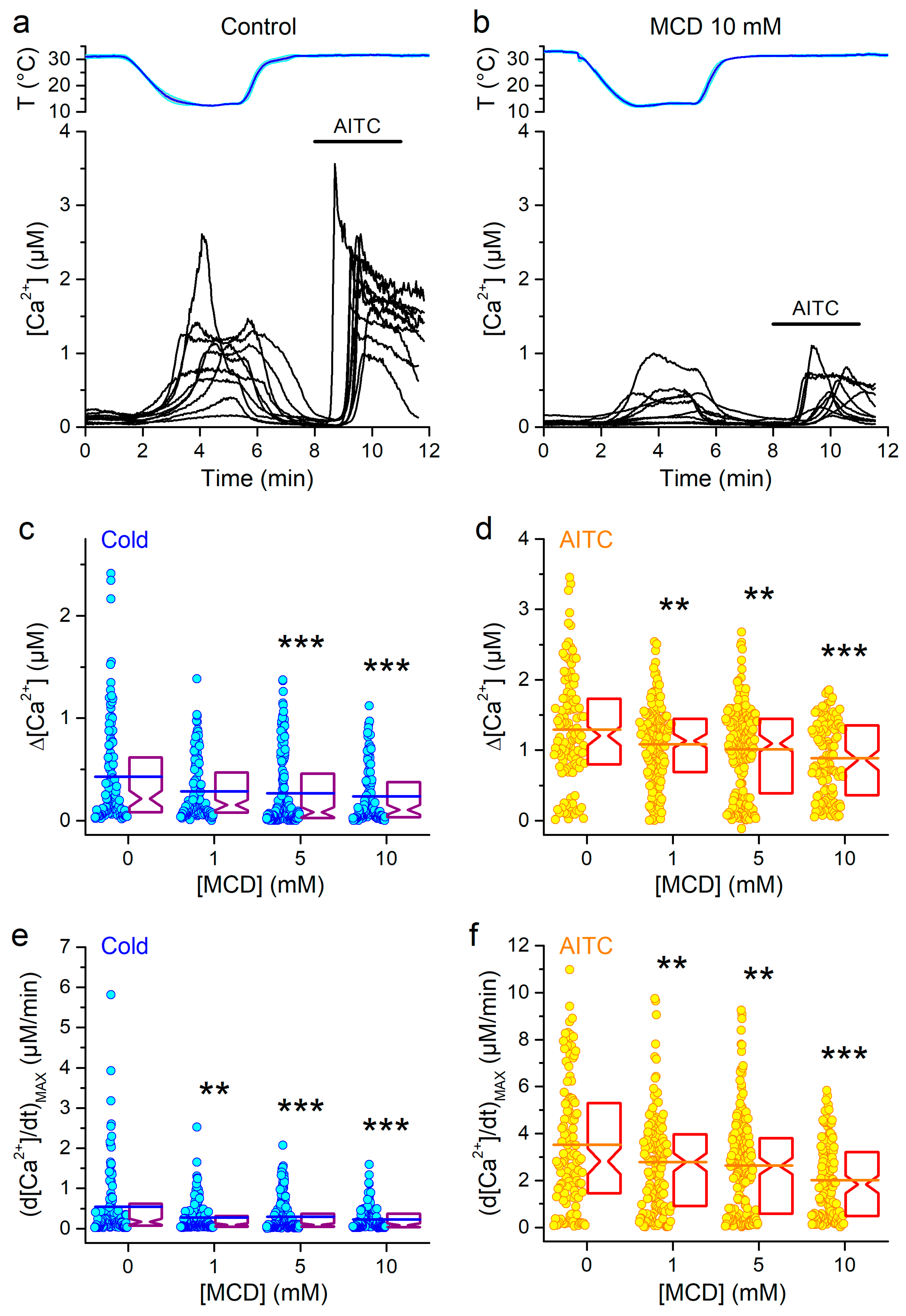Ijms 21 03826 g001 Ijms 21 03826 g001