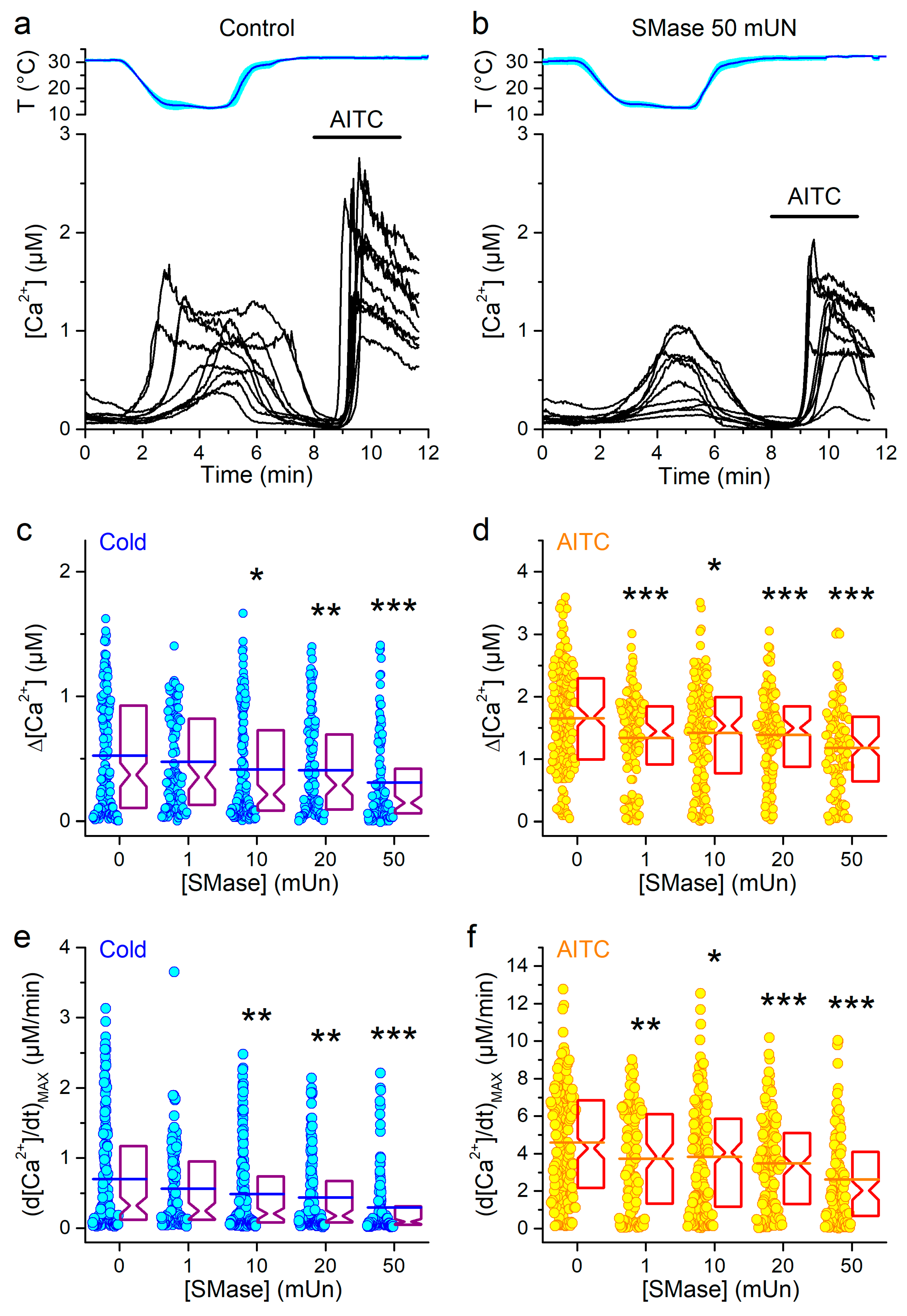 Ijms 21 03826 g002 Ijms 21 03826 g002