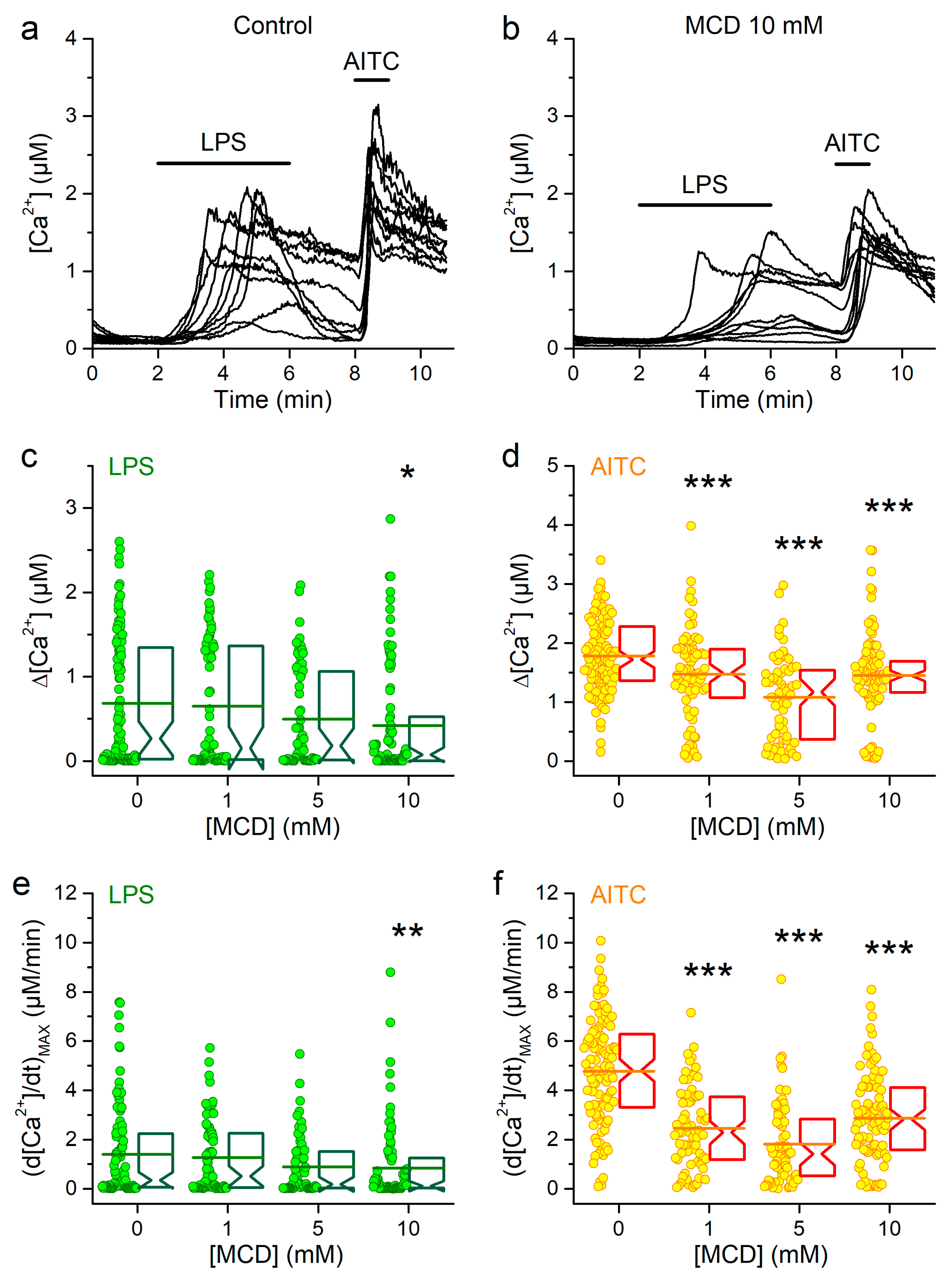 Ijms 21 03826 g003 Ijms 21 03826 g003