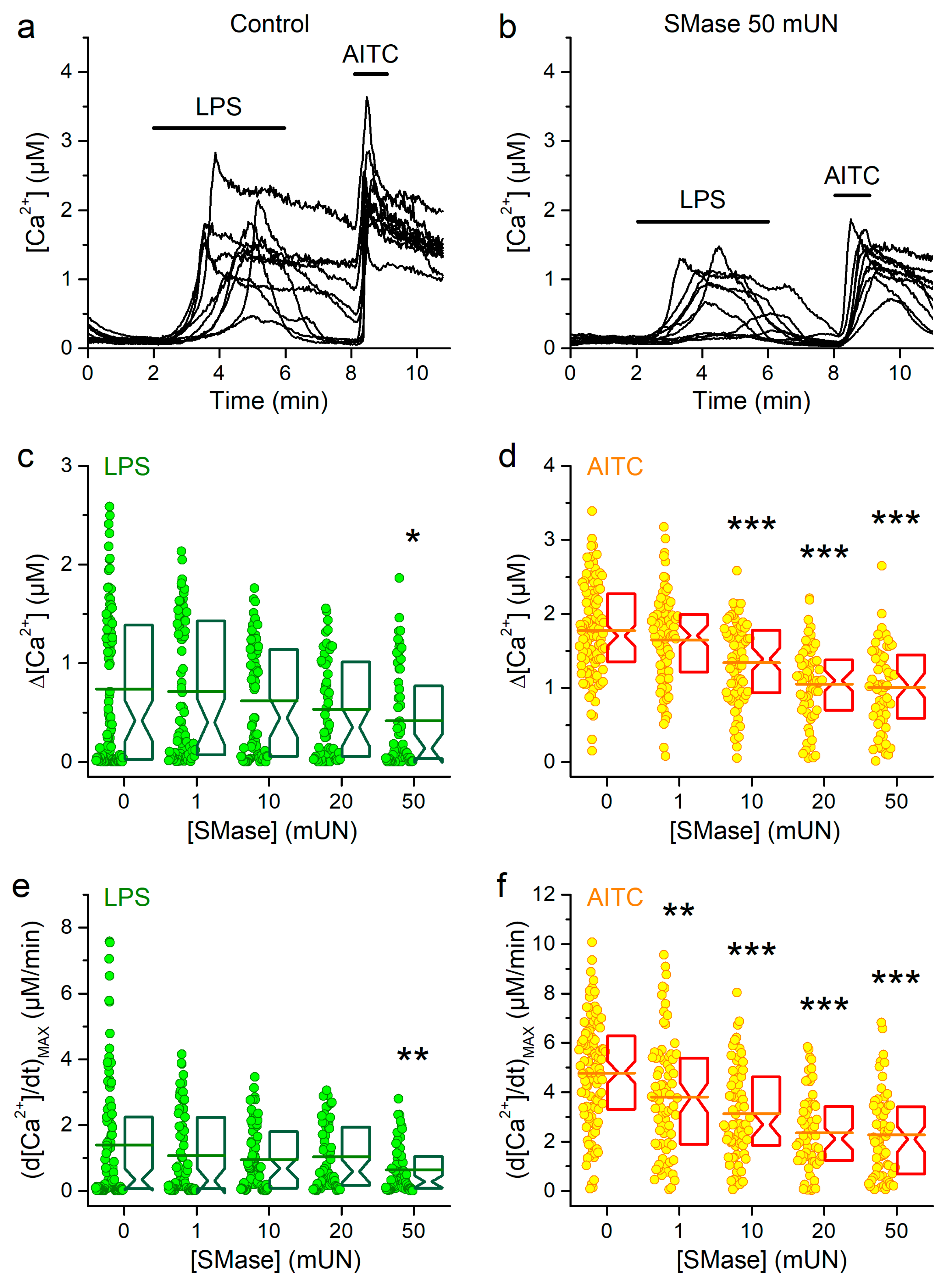 Ijms 21 03826 g004 Ijms 21 03826 g004