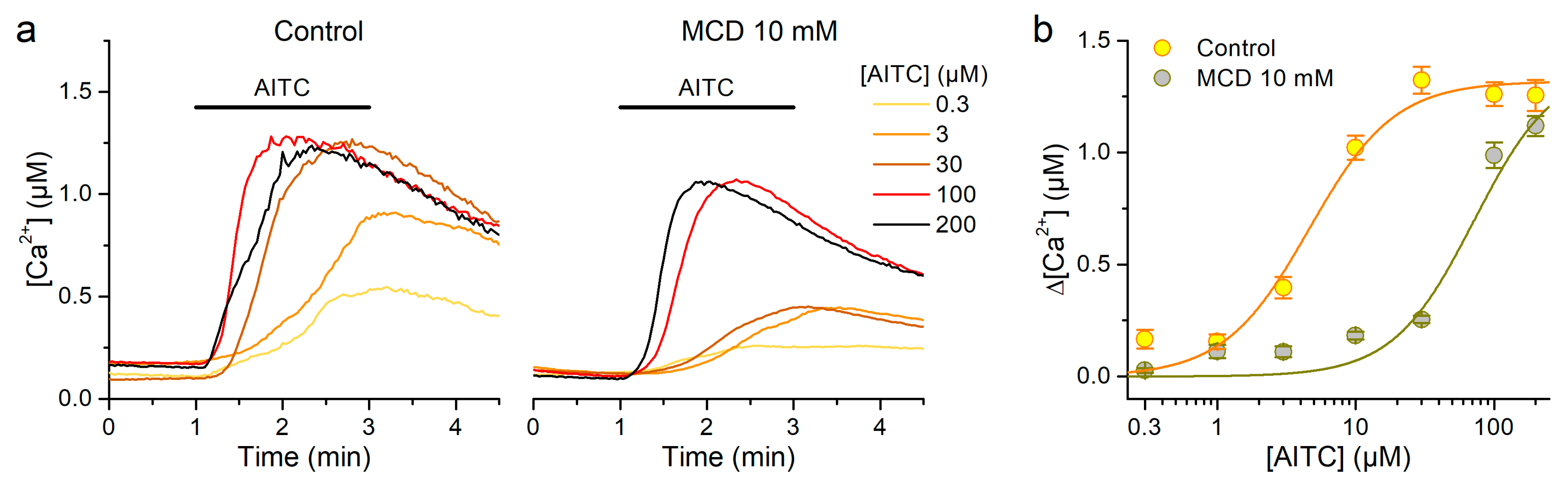 Ijms 21 03826 g005 Ijms 21 03826 g005