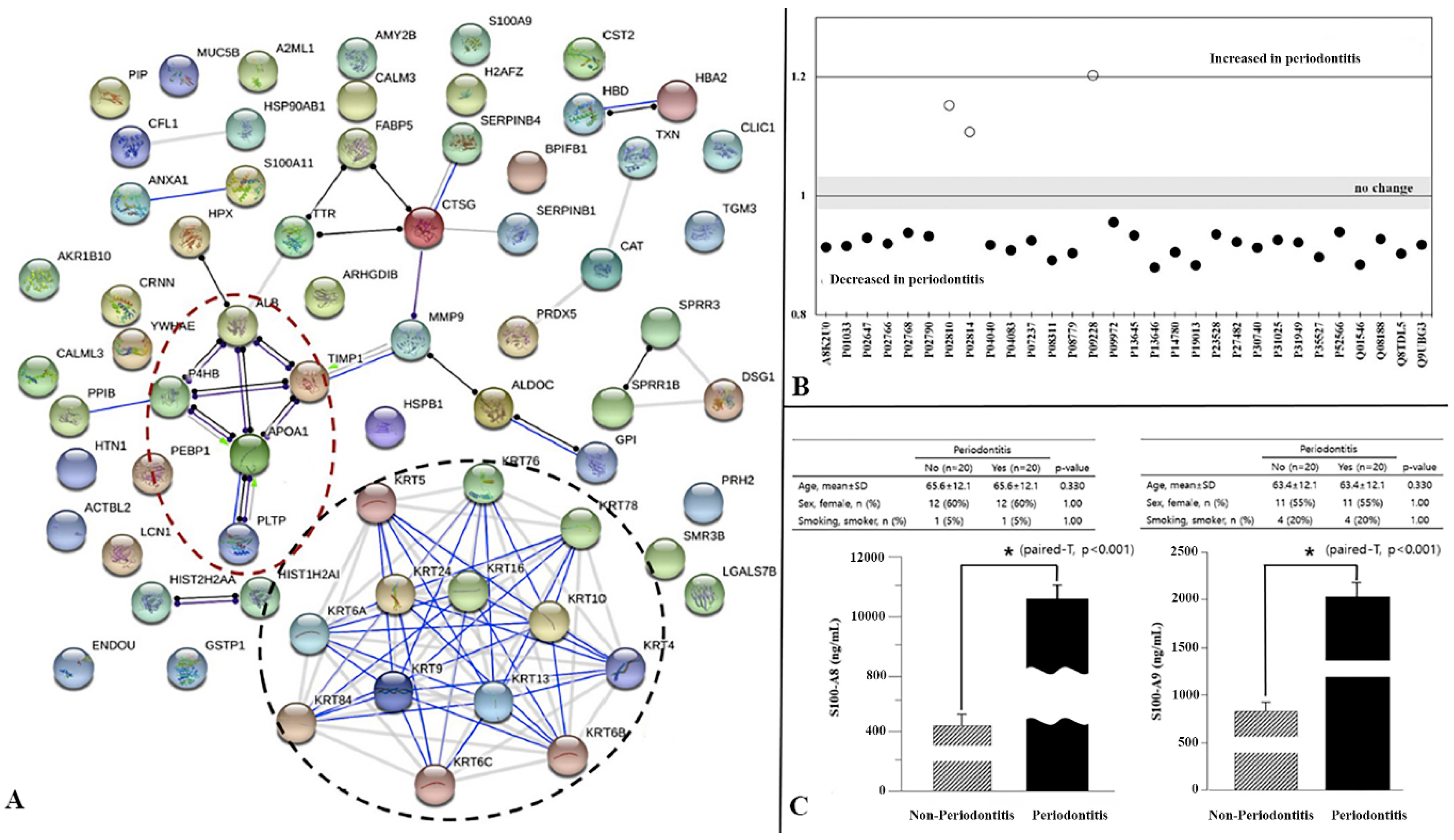Ijms 21 03829 g003 Ijms 21 03829 g003