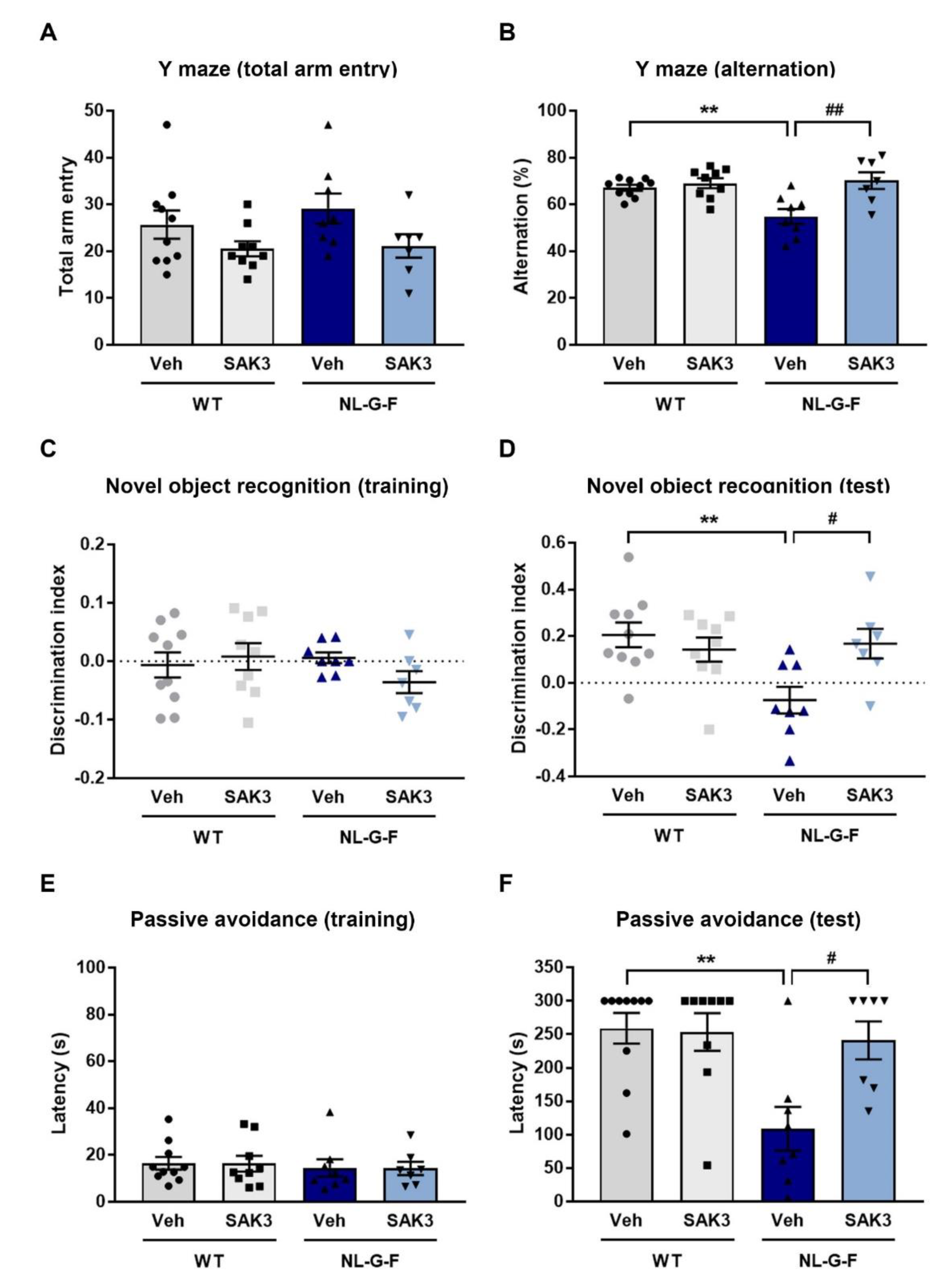 Ijms Free Full Text Sak3 Administration Improves Spine Abnormalities And Cognitive Deficits In Appnl G F Nl G F Knock In Mice By Increasing Proteasome Activity Through Camkii Rpt6 Signaling Html