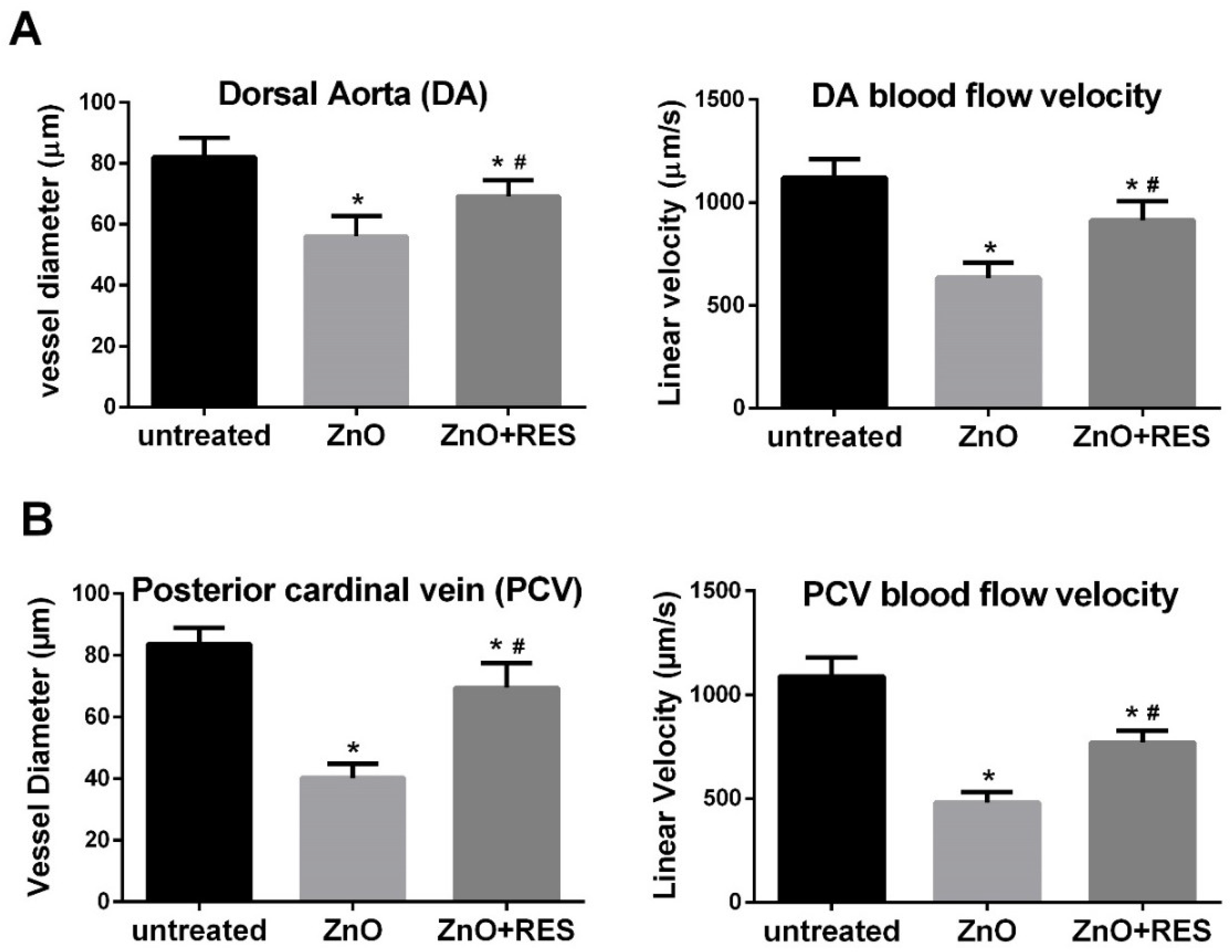 Ijms 21 03838 g008 Ijms 21 03838 g008