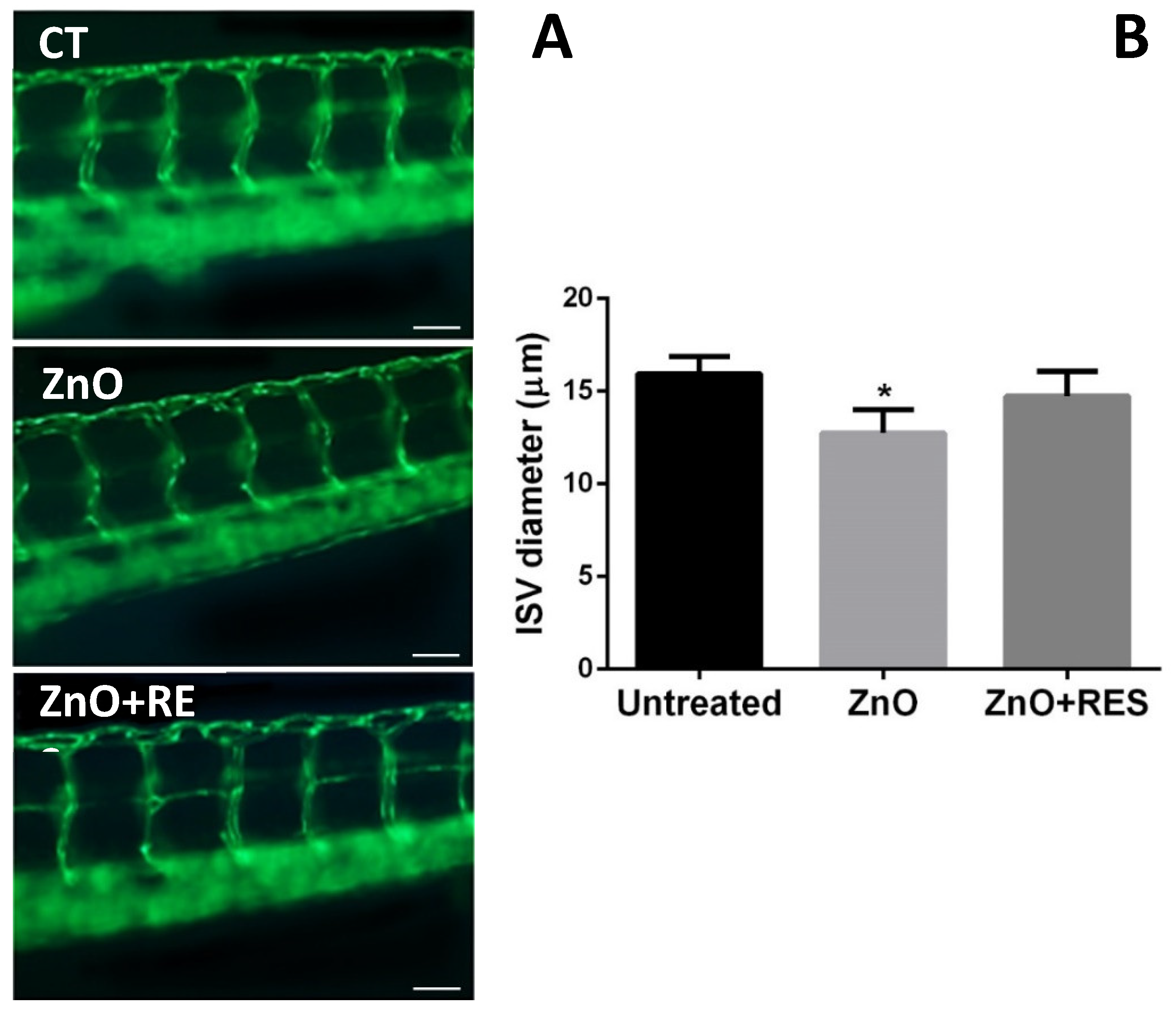 Ijms 21 03838 g009 Ijms 21 03838 g009