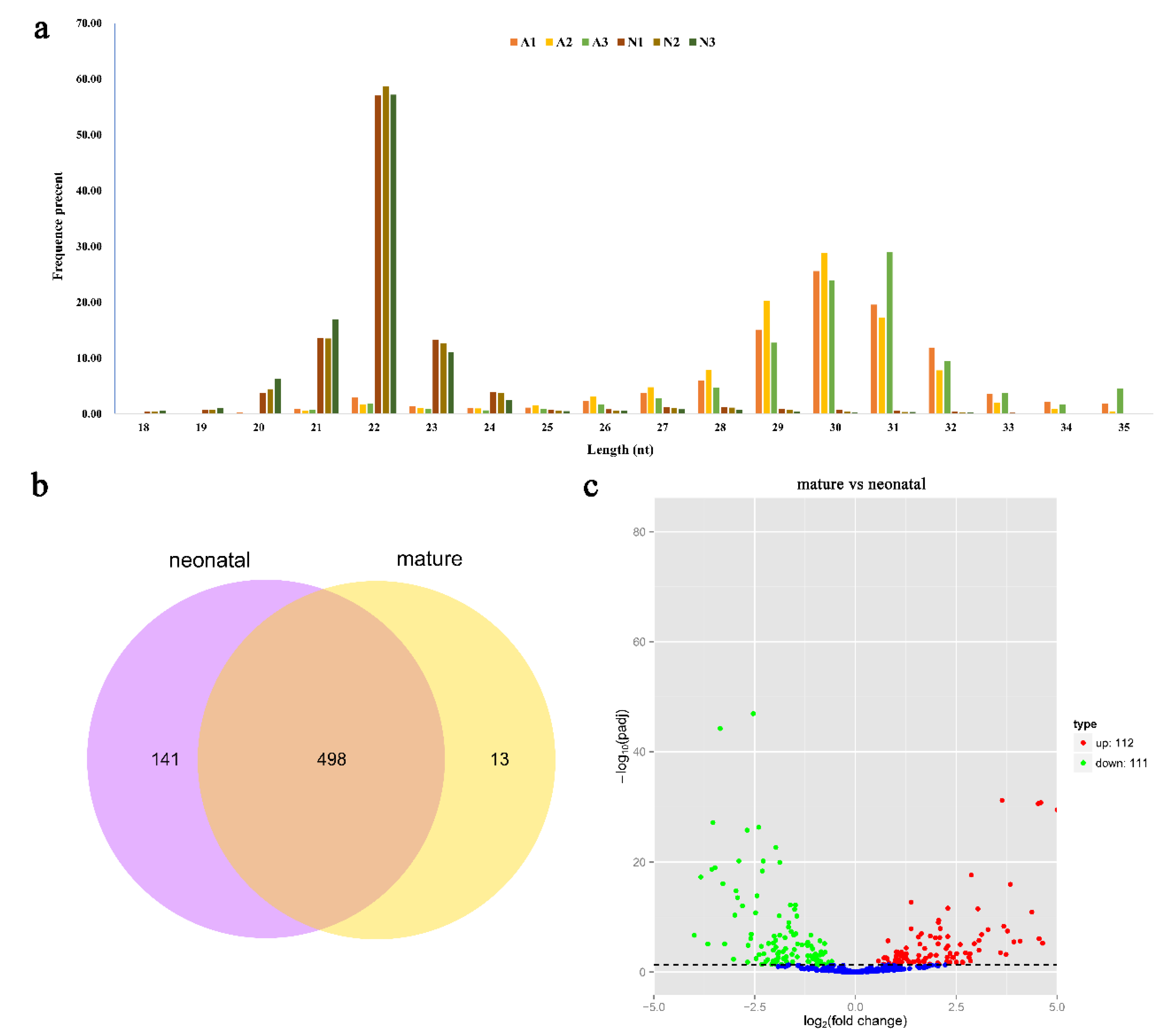 Ijms 21 03846 g001 Ijms 21 03846 g001