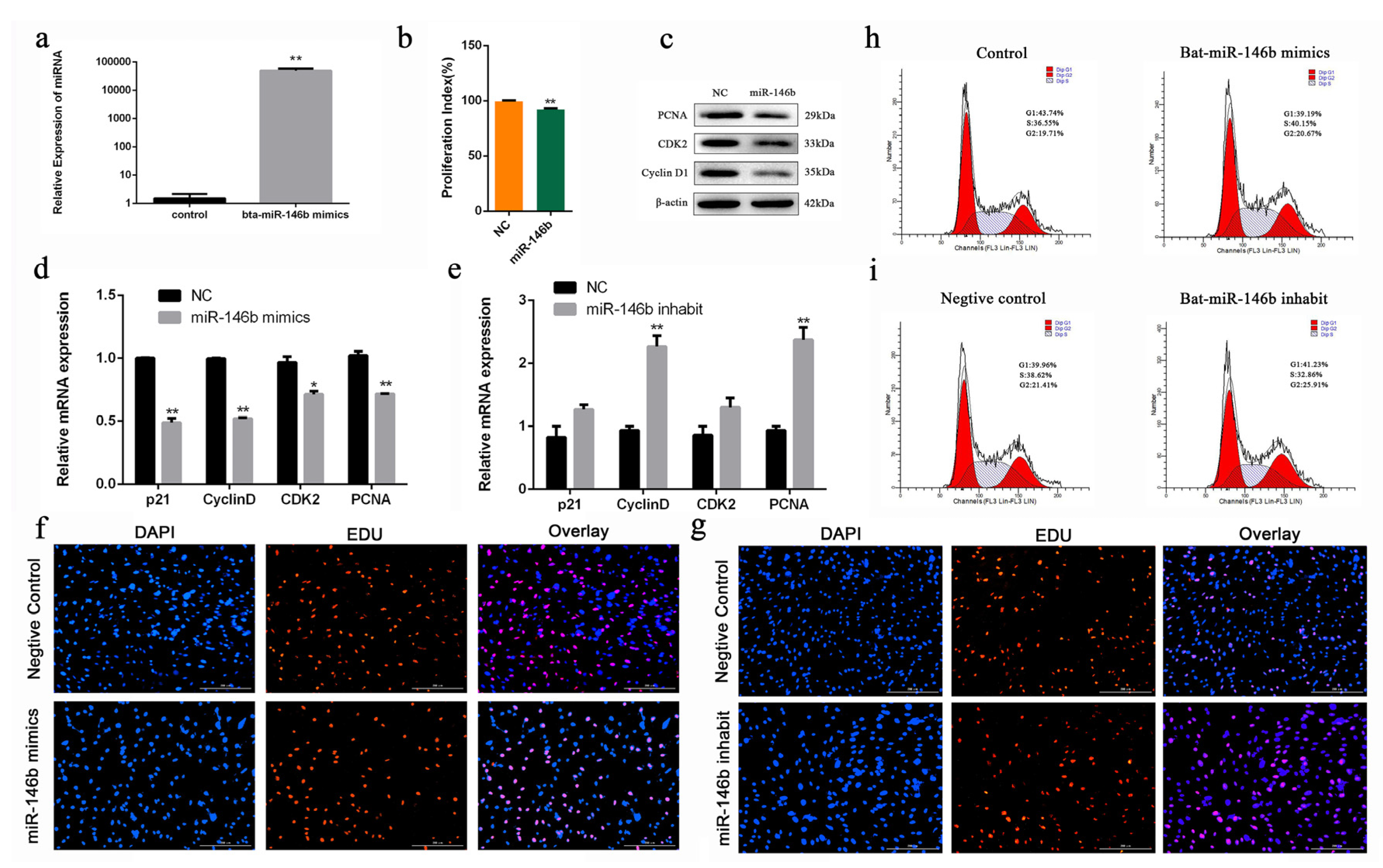 Ijms 21 03846 g004 Ijms 21 03846 g004