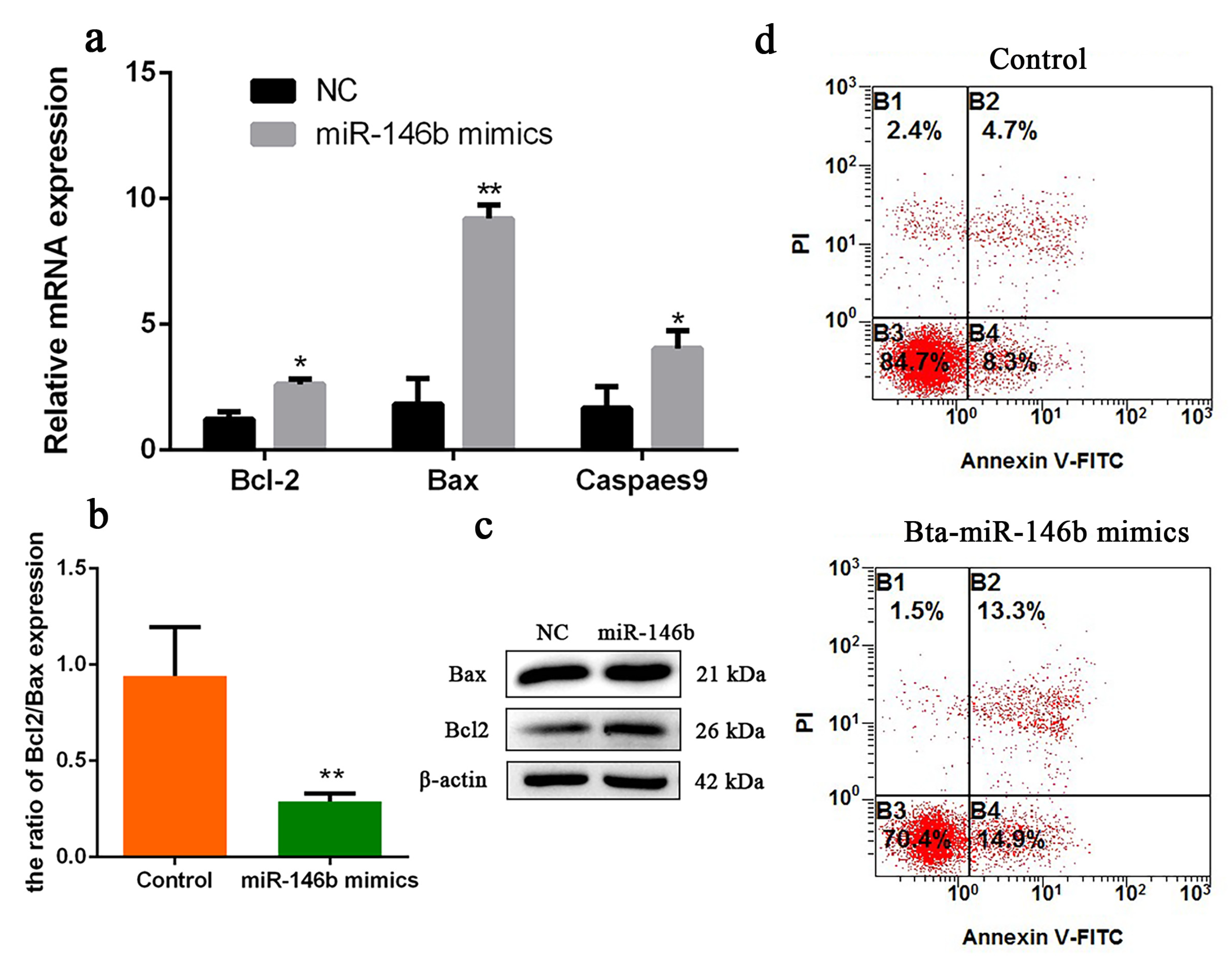 Ijms 21 03846 g005 Ijms 21 03846 g005