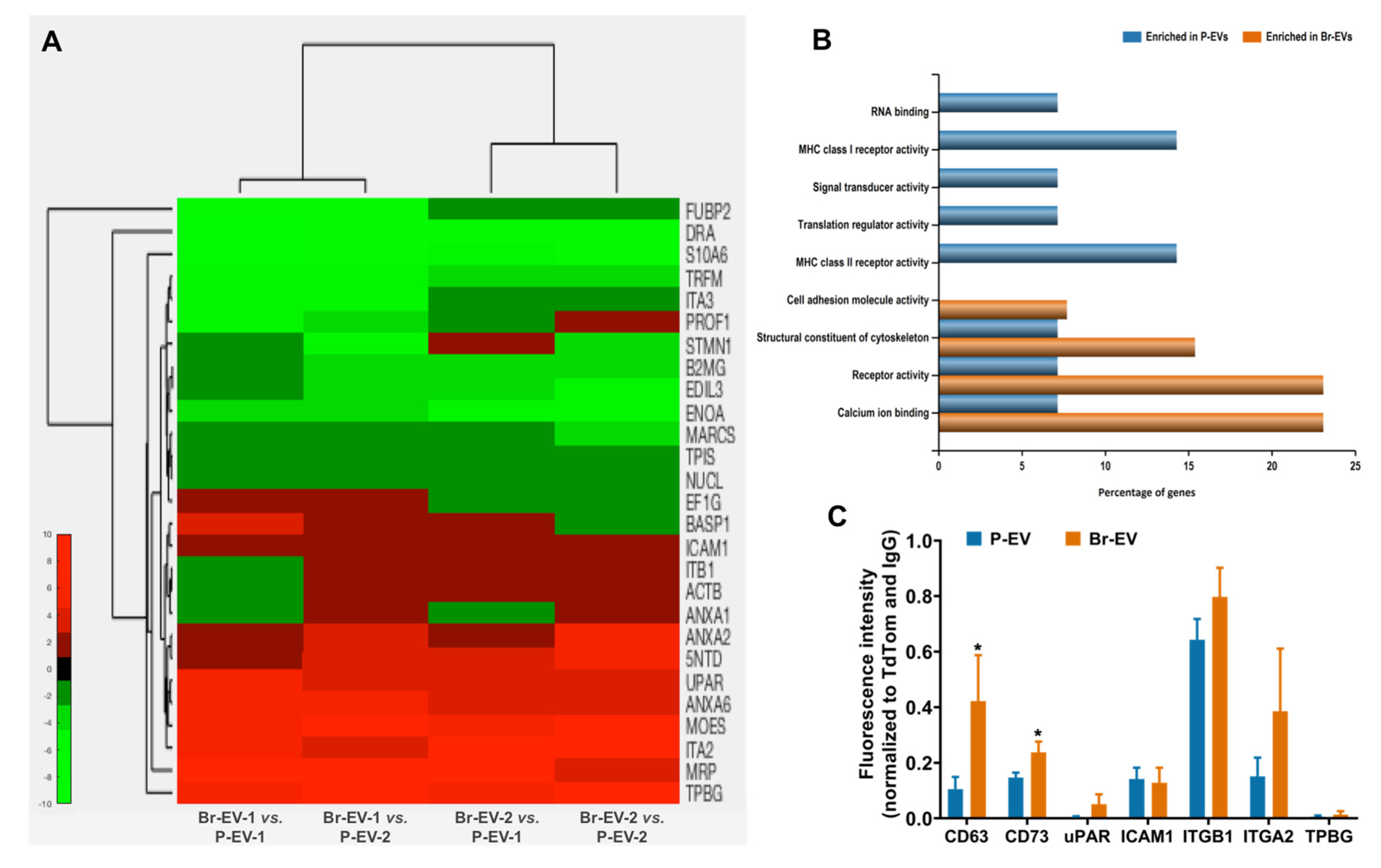 Ijms 21 03851 g002 Ijms 21 03851 g002