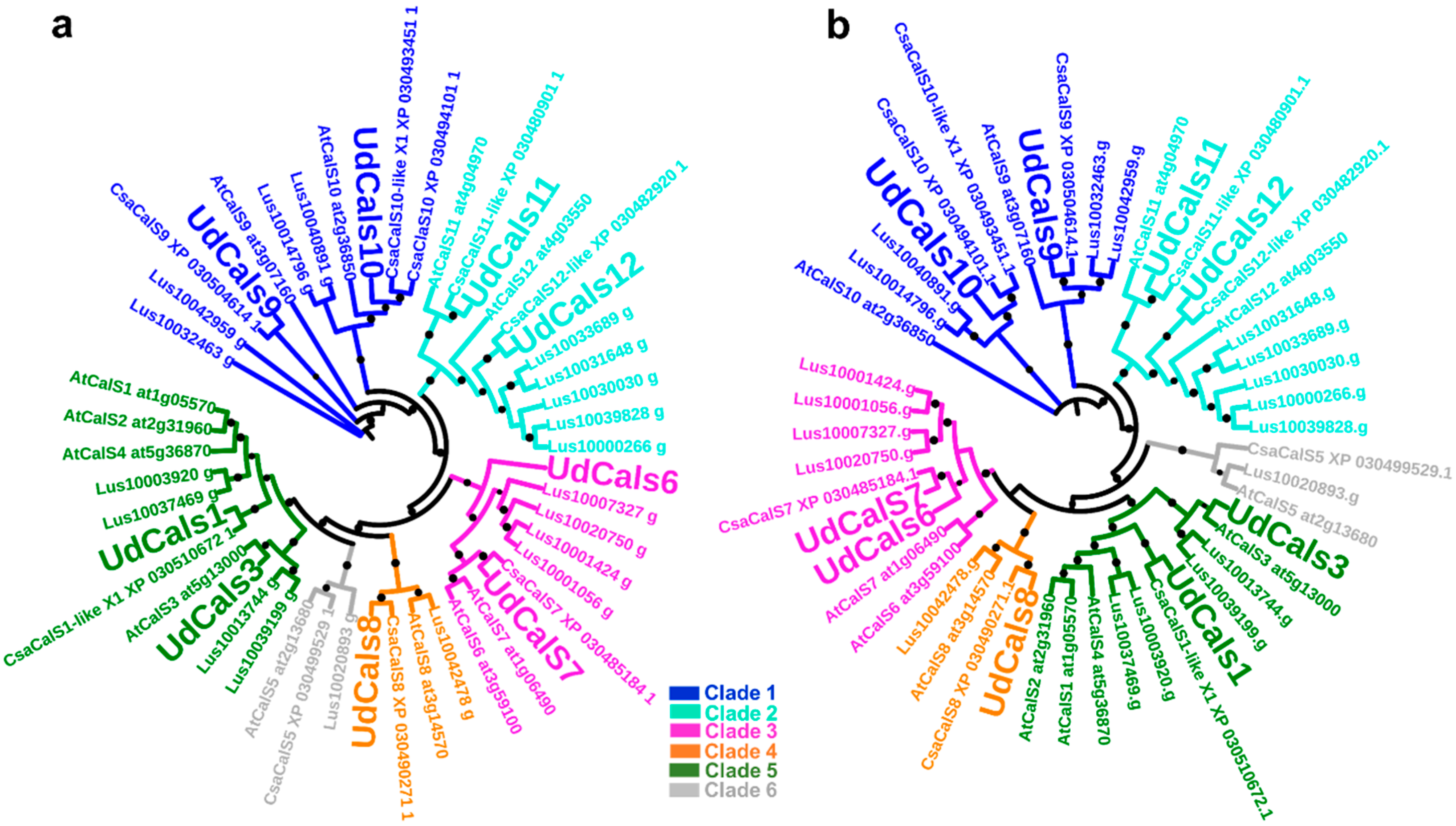 Ijms 21 03853 g001 Ijms 21 03853 g001