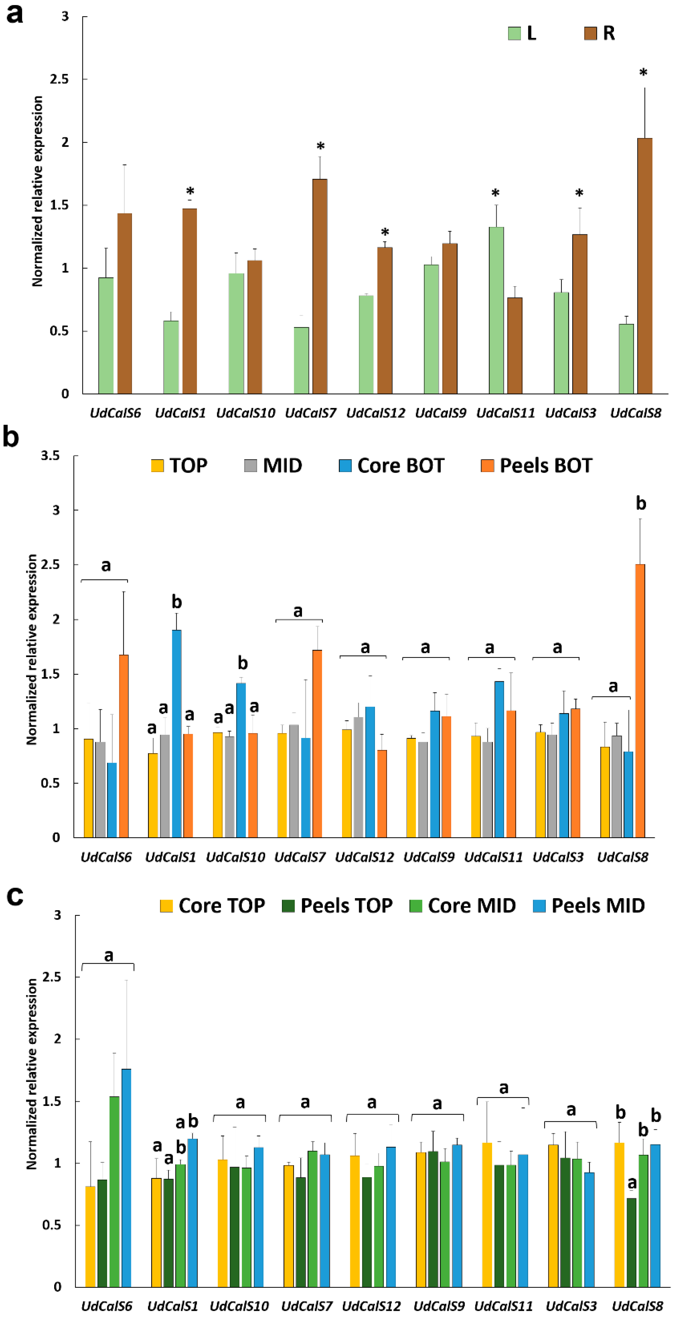Ijms 21 03853 g003 Ijms 21 03853 g003