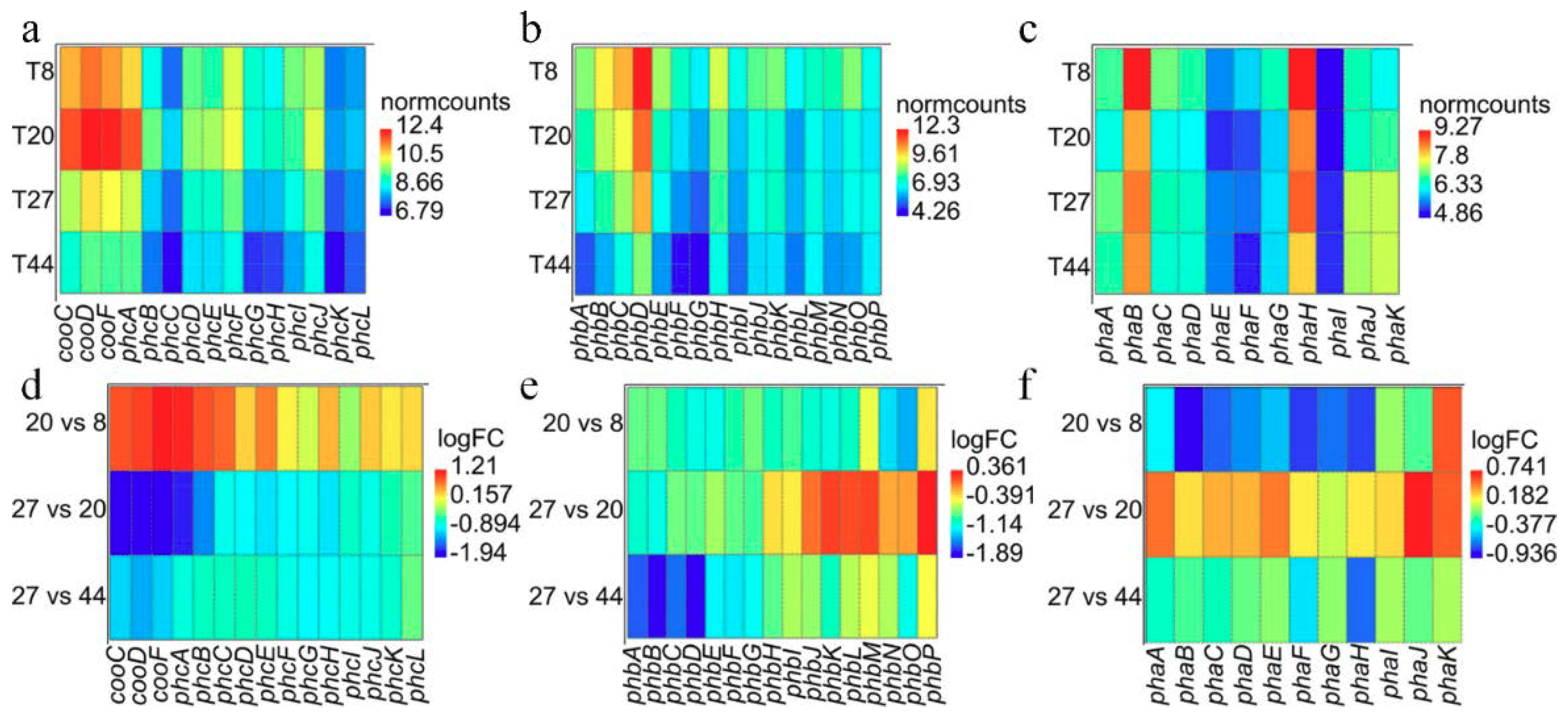 Ijms 21 03870 g006 Ijms 21 03870 g006