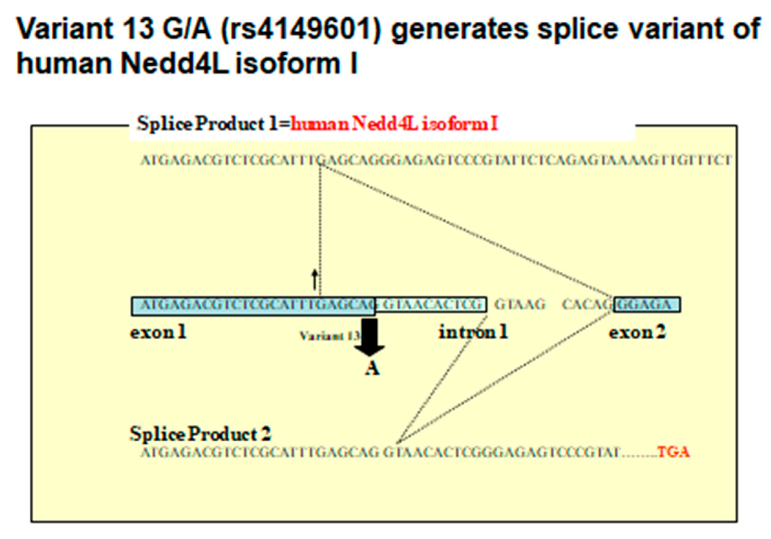 Ijms 21 03871 g003 Ijms 21 03871 g003