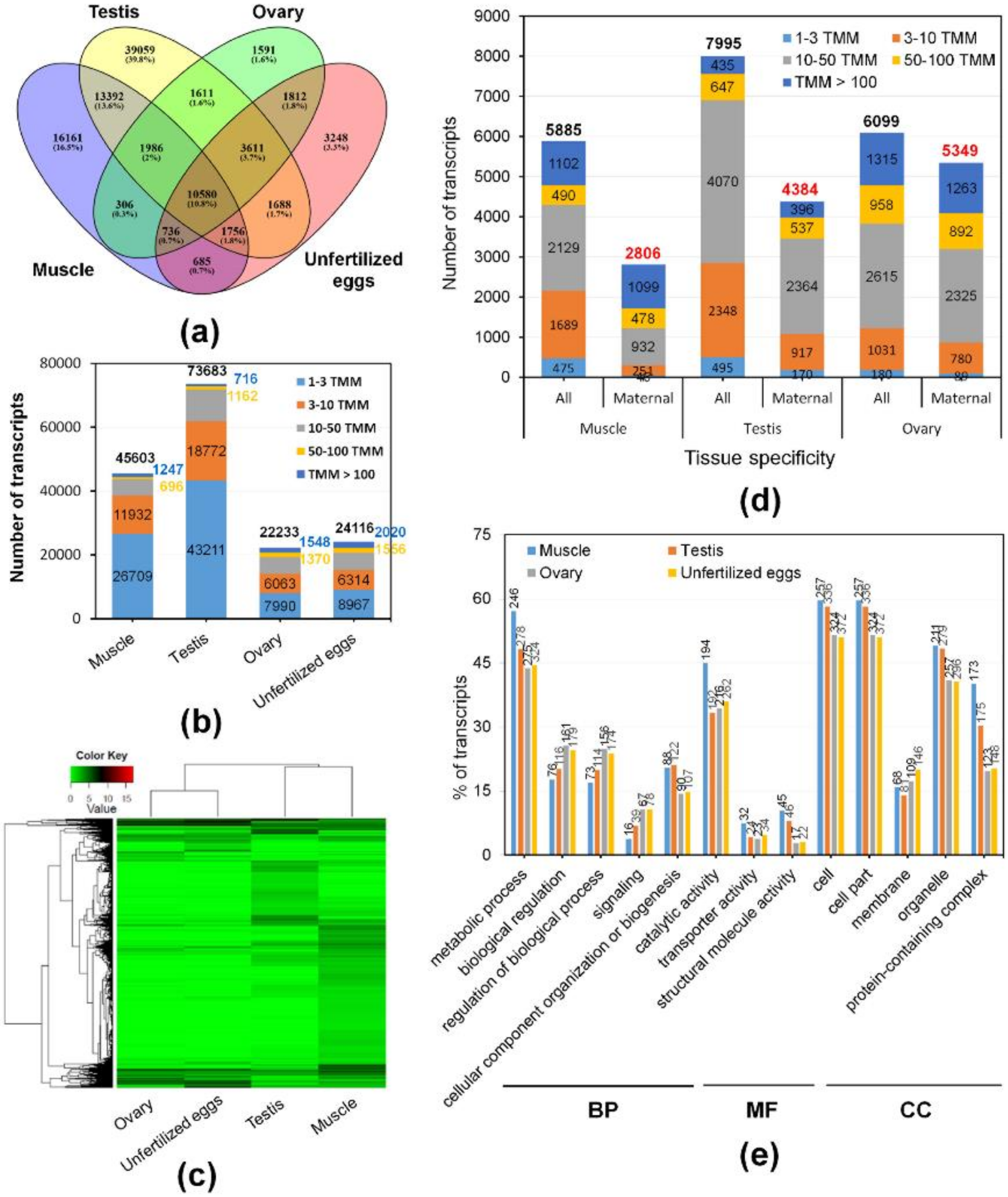 IJMS | Free Full-Text | Transcriptome Analysis of Maternal Gene 