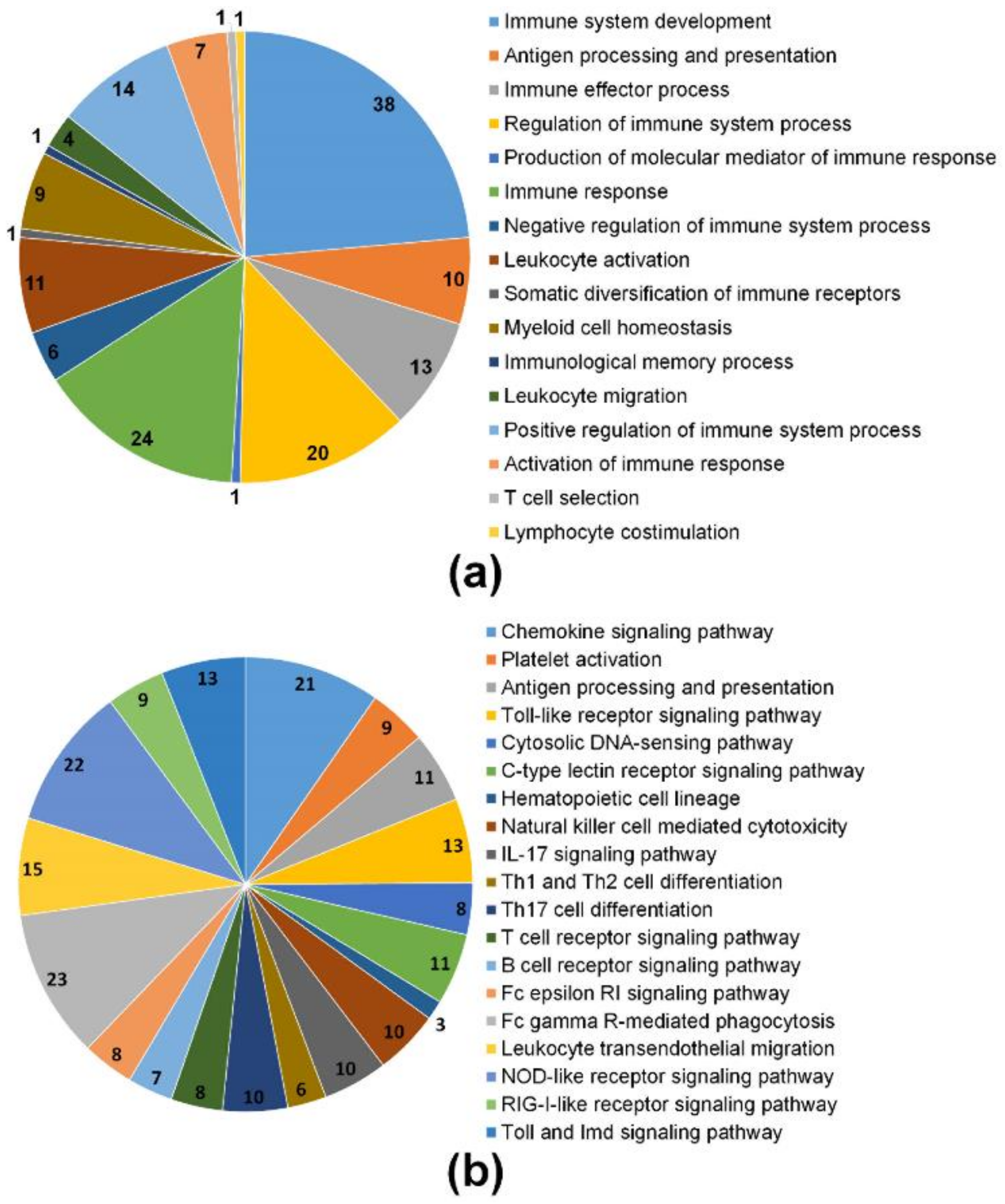 IJMS | Free Full-Text | Transcriptome Analysis of Maternal Gene 