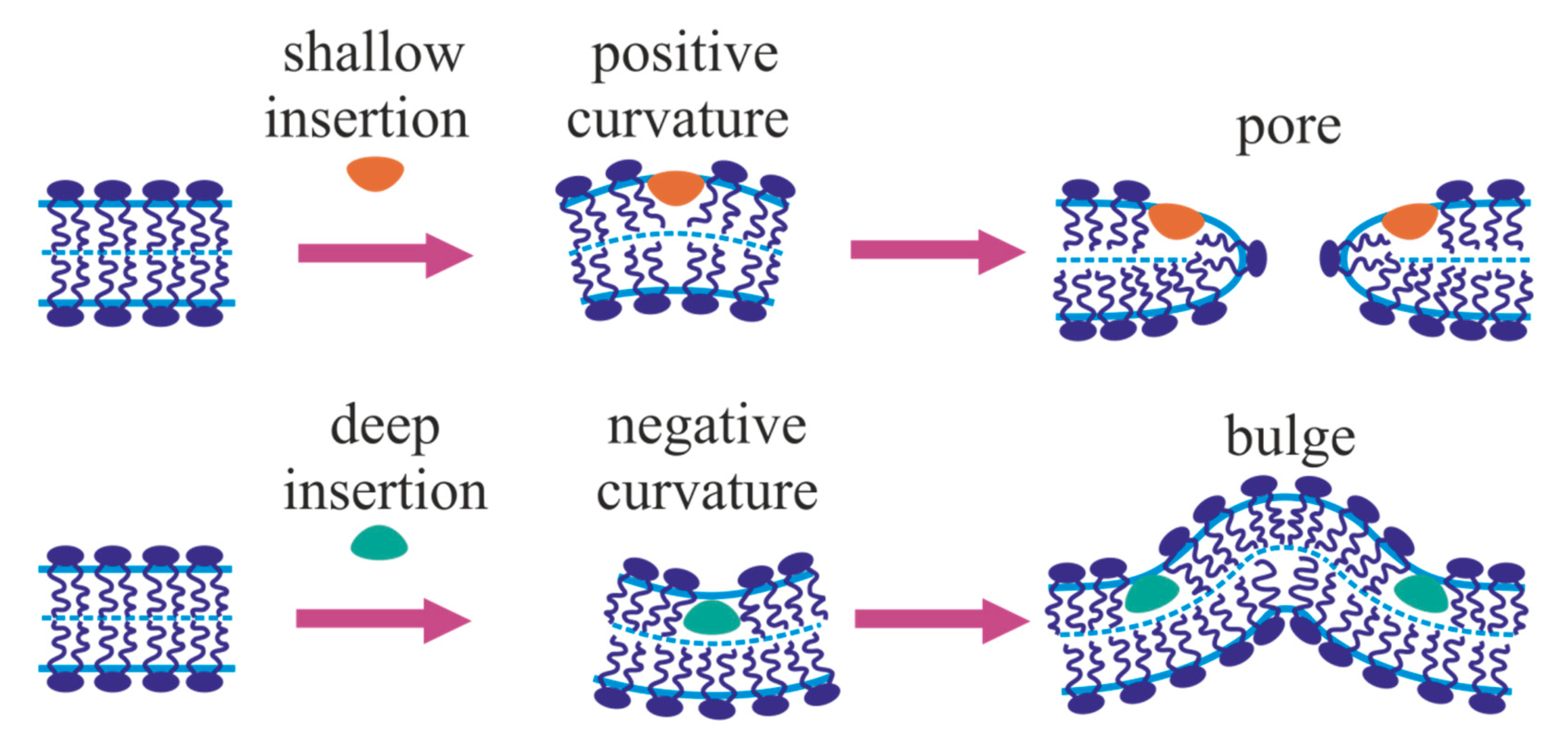 Ijms 21 03875 g003 Ijms 21 03875 g003
