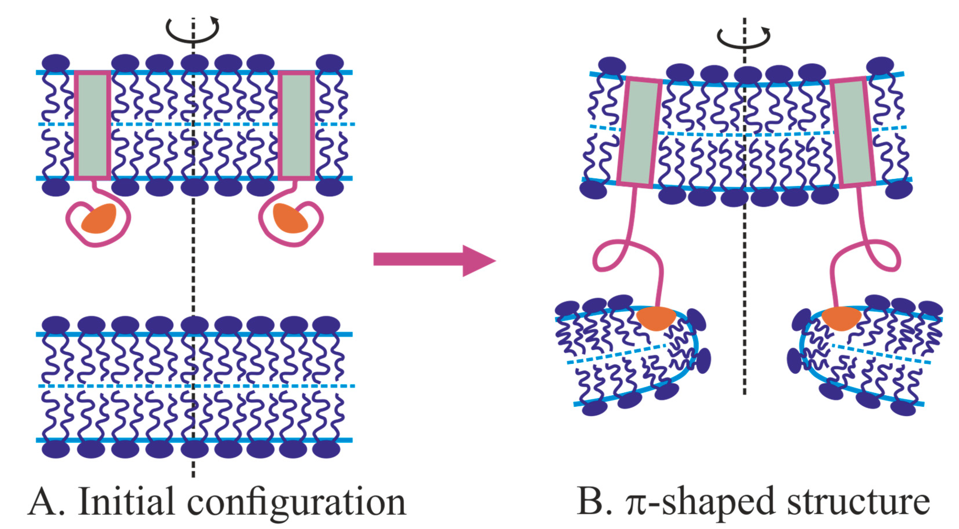 Ijms 21 03875 g006 Ijms 21 03875 g006