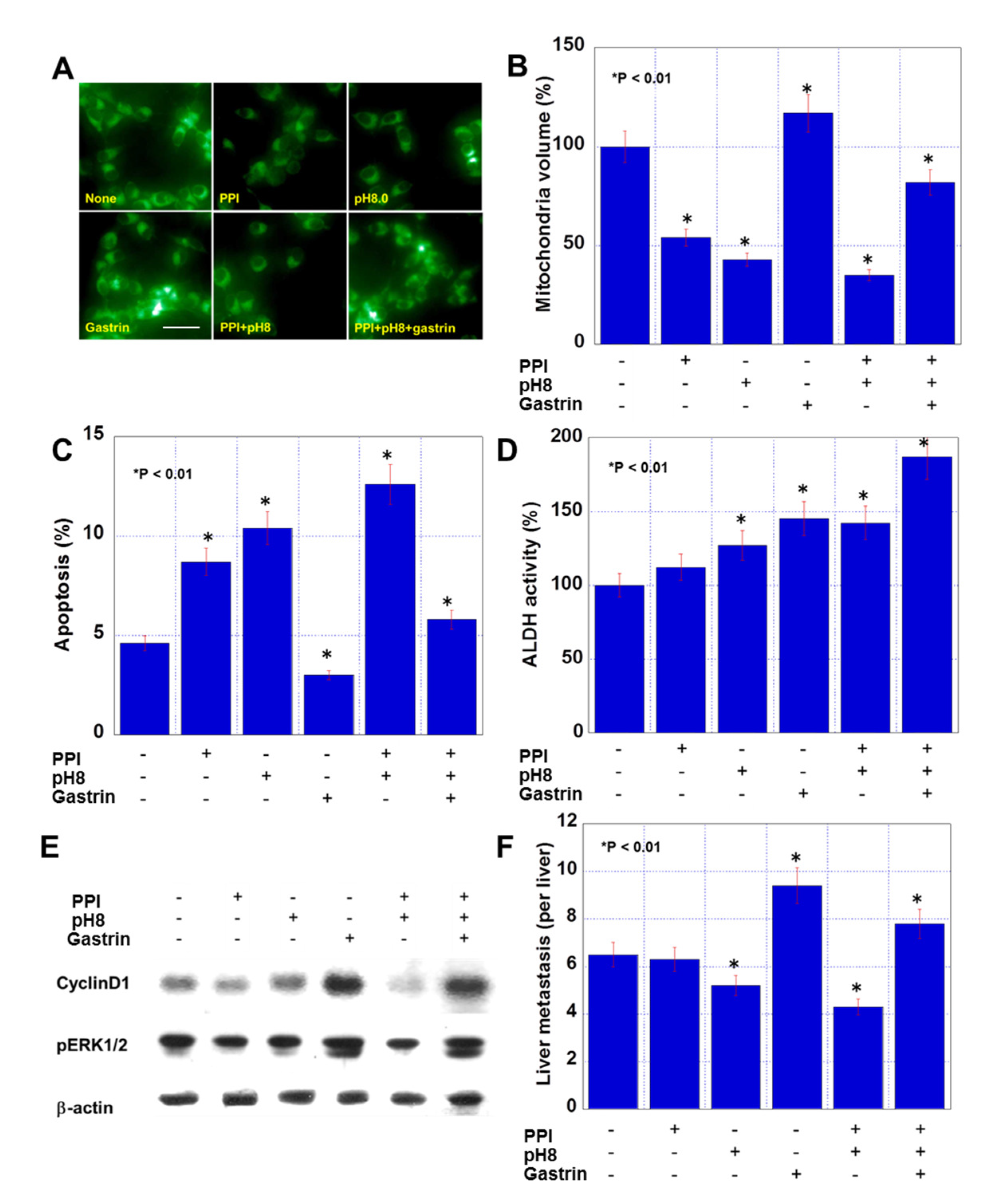 Ijms 21 03877 g002 Ijms 21 03877 g002