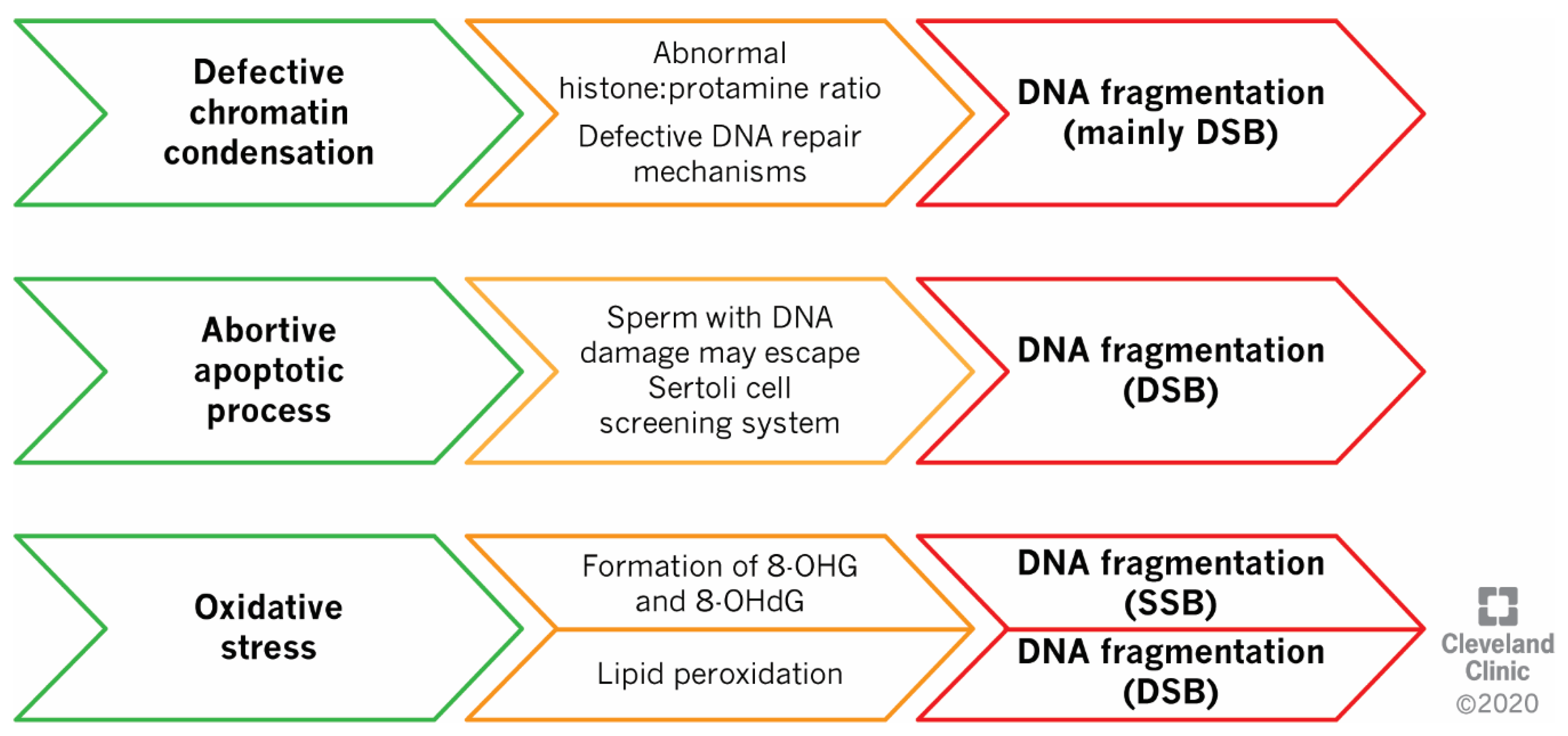 Ijms 21 03882 g002 Ijms 21 03882 g002