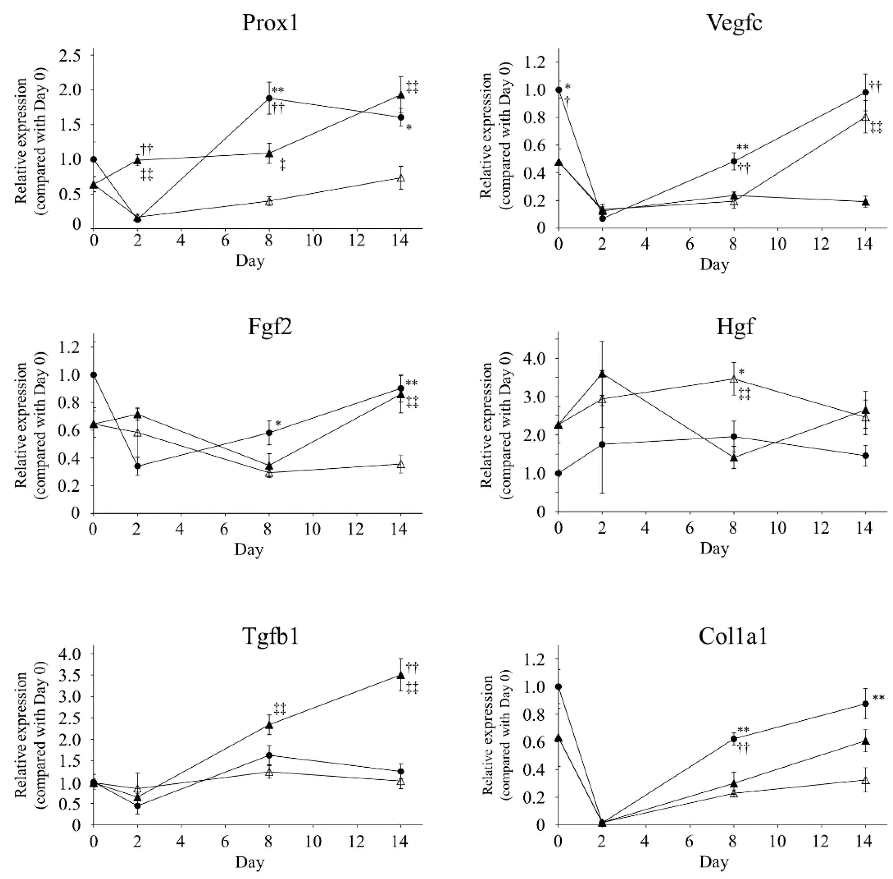 Ijms 21 03885 g005 Ijms 21 03885 g005