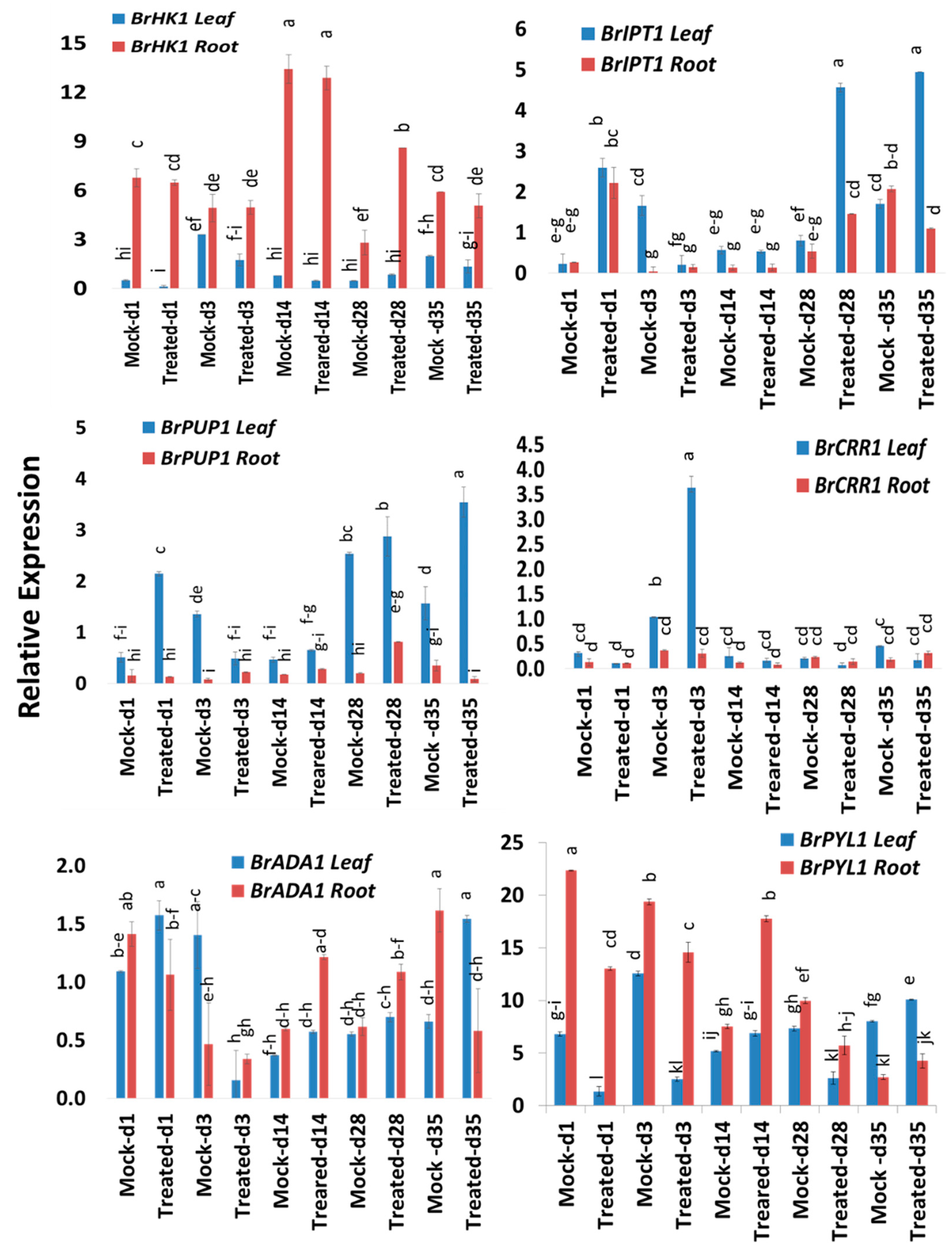 Ijms 21 03896 g006 Ijms 21 03896 g006