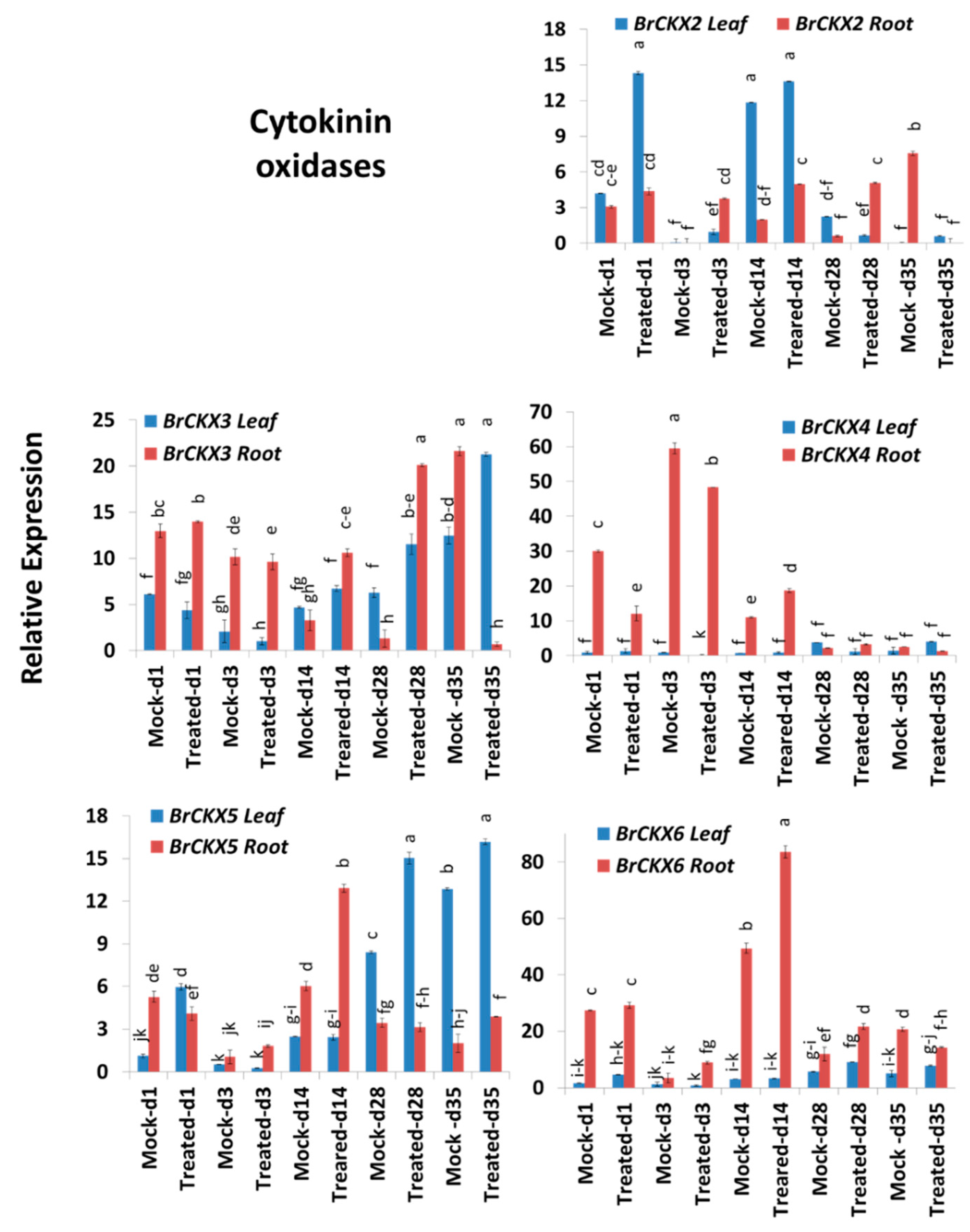 Ijms 21 03896 g007 Ijms 21 03896 g007