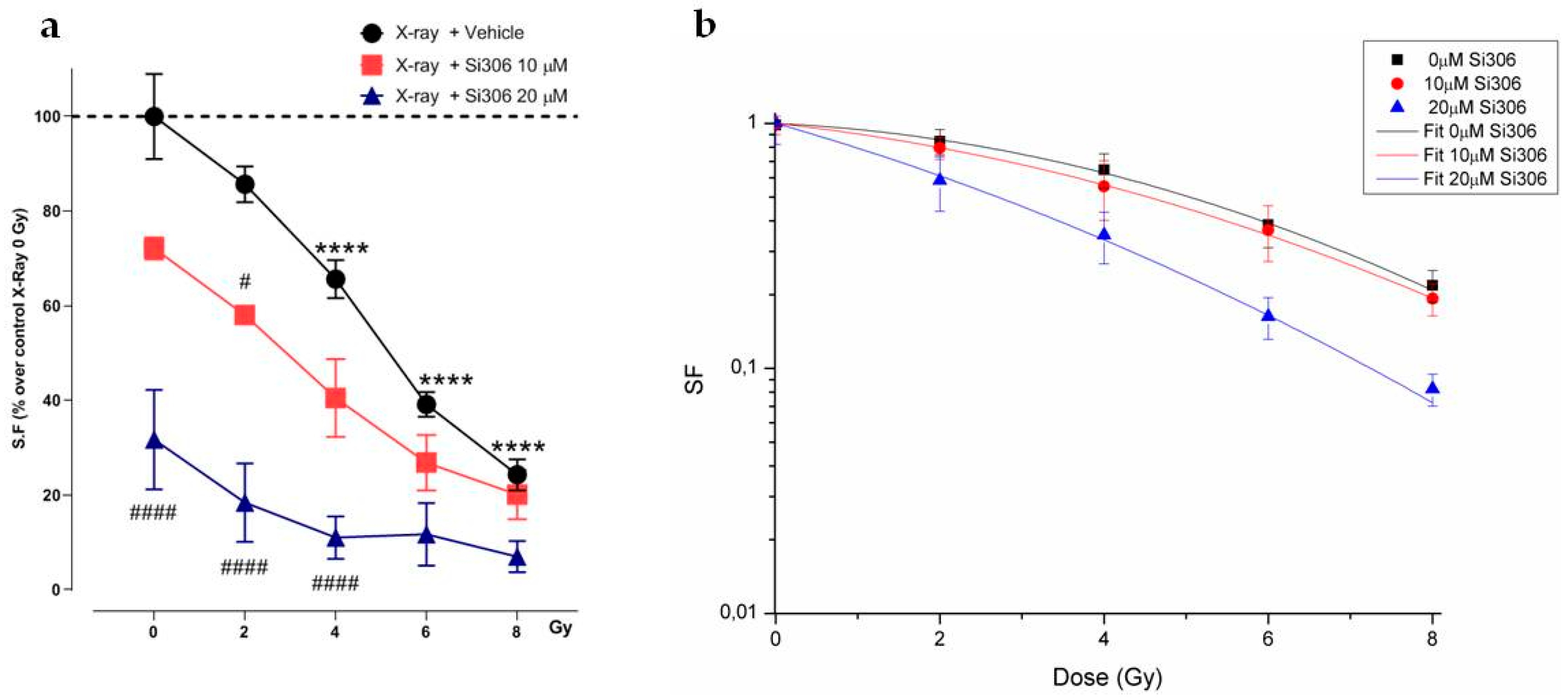 Ijms 21 03917 g004 Ijms 21 03917 g004