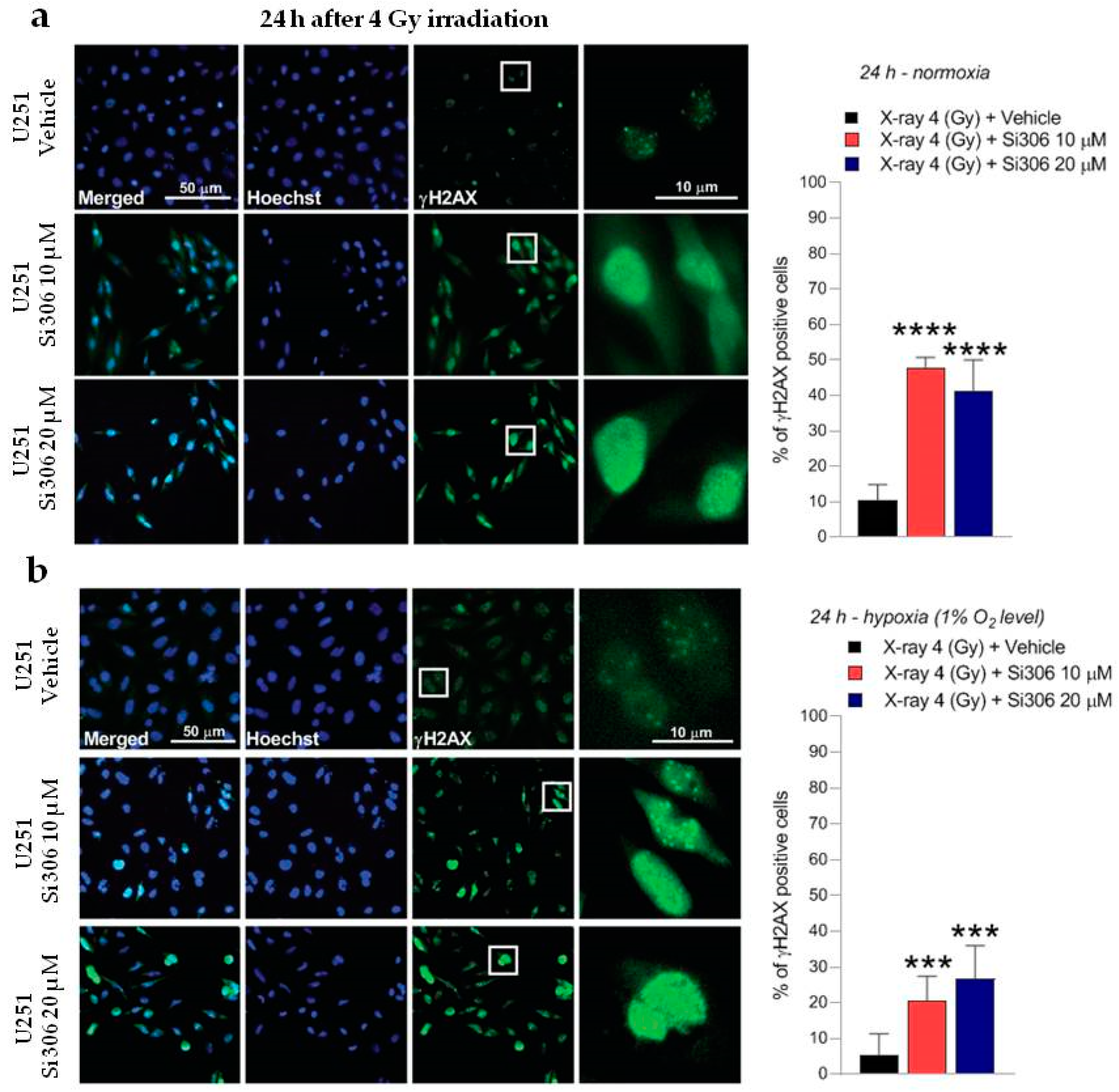 Ijms 21 03917 g006 Ijms 21 03917 g006