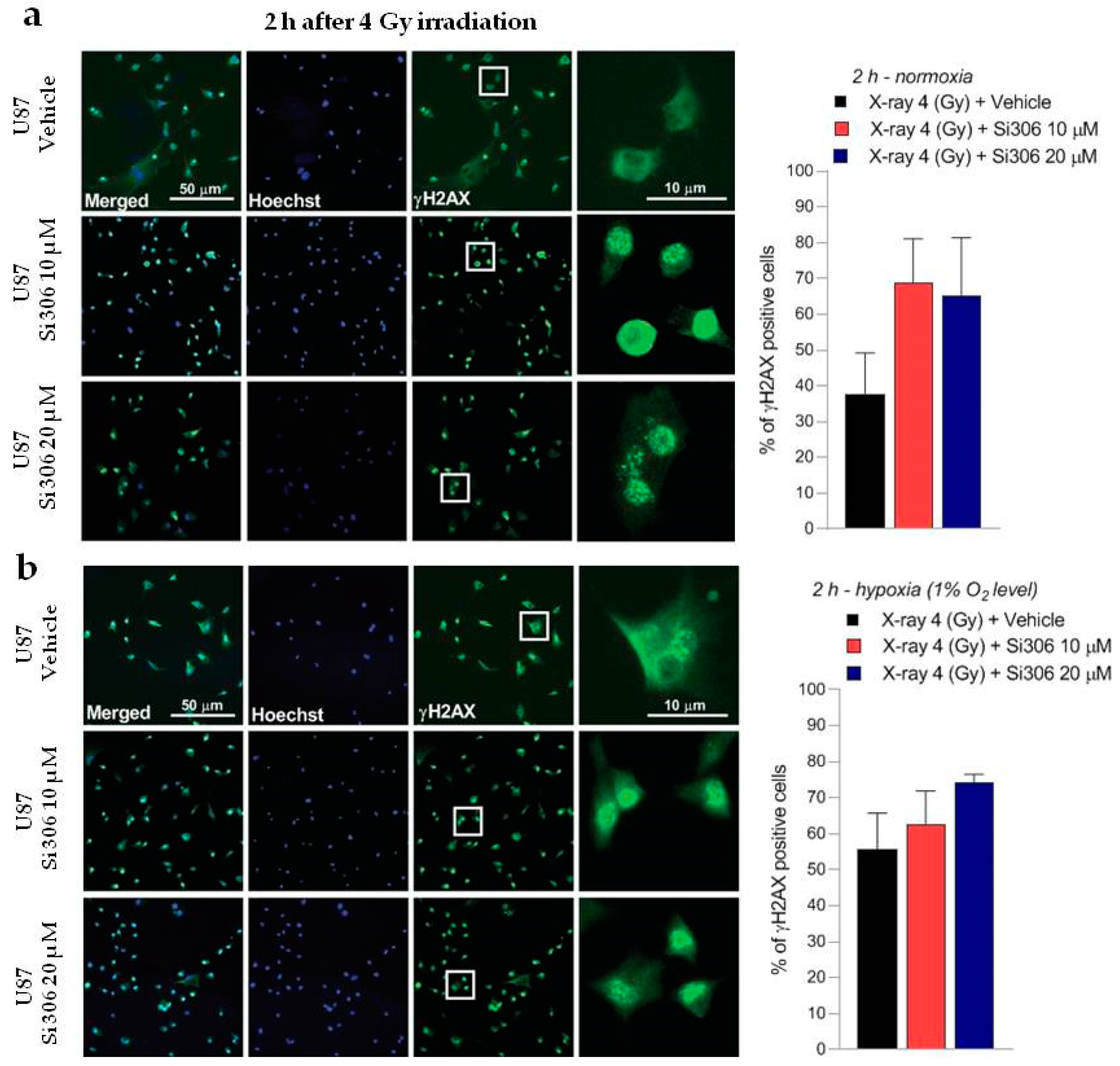 Ijms 21 03917 g007 Ijms 21 03917 g007