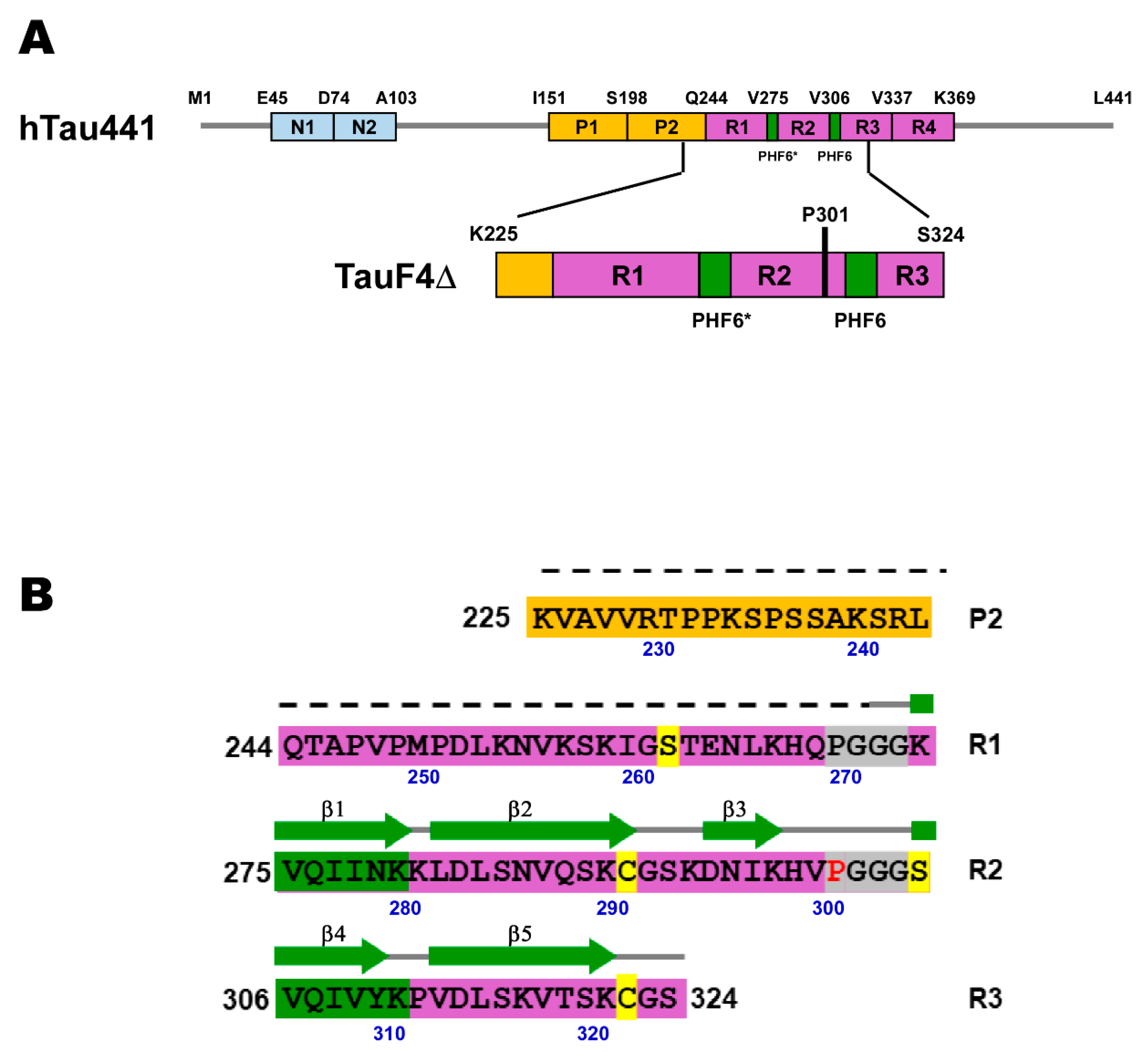 Ijms 21 03920 g001 Ijms 21 03920 g001