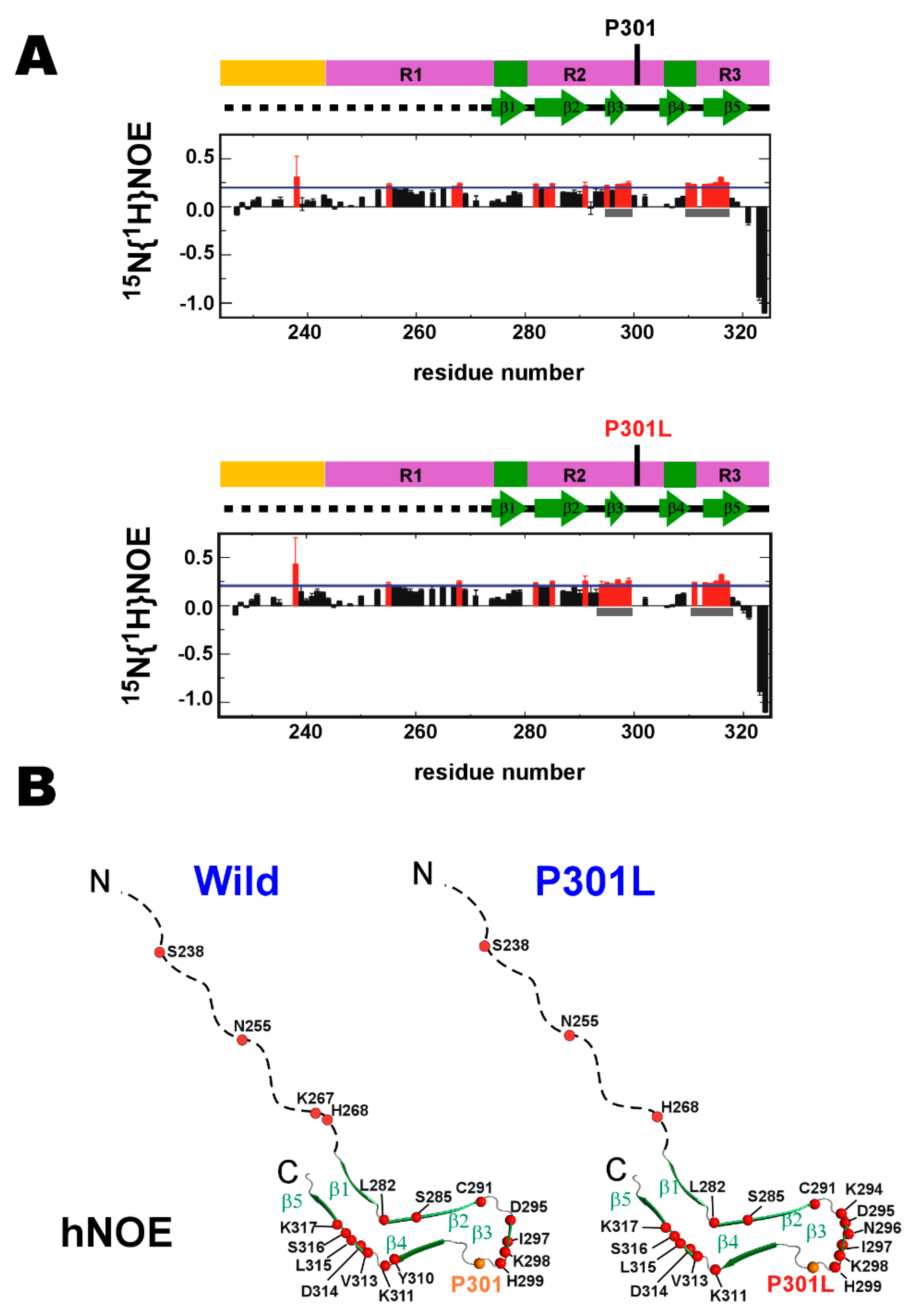 Ijms 21 03920 g002a Ijms 21 03920 g002a