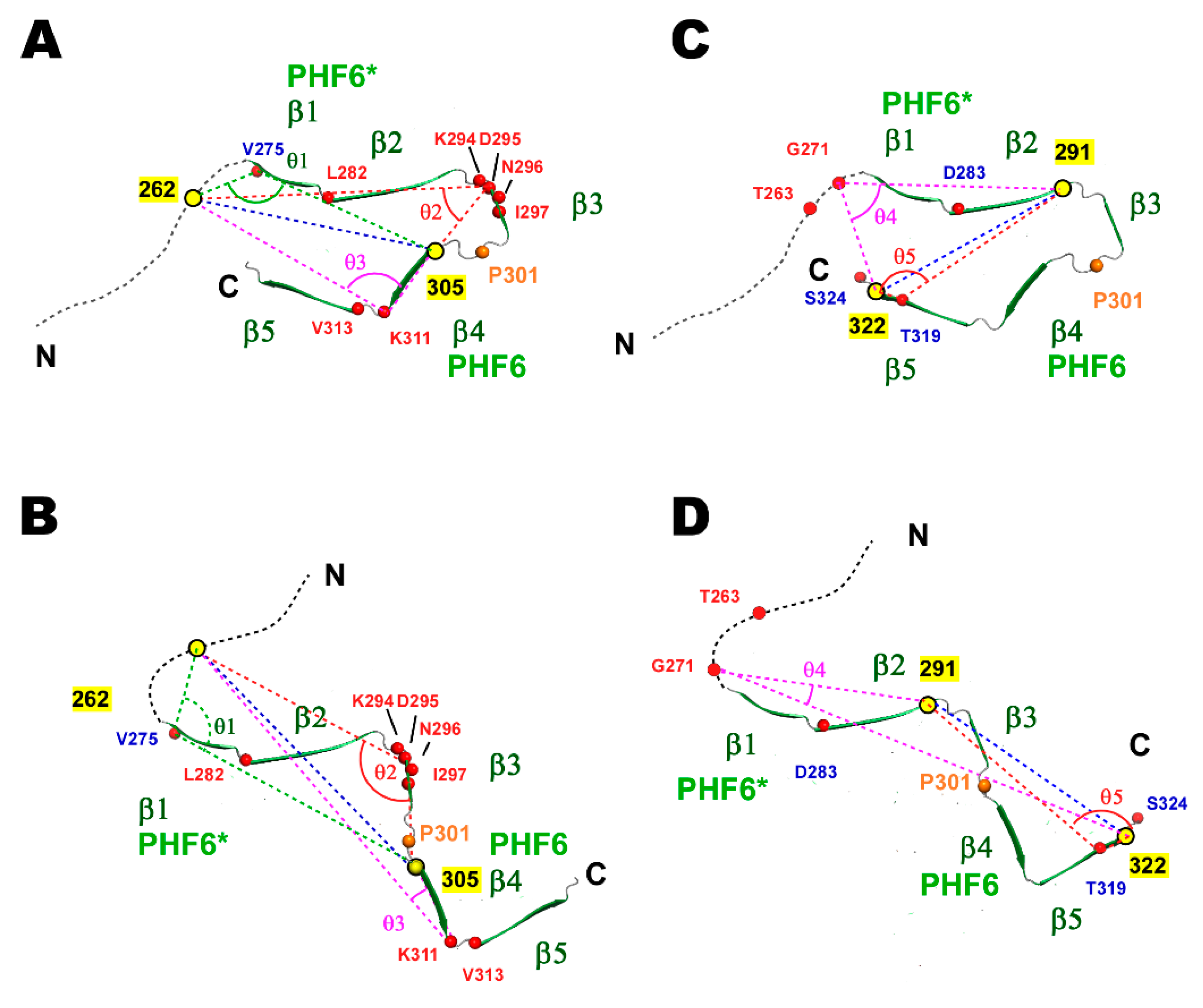 Ijms 21 03920 g007 Ijms 21 03920 g007