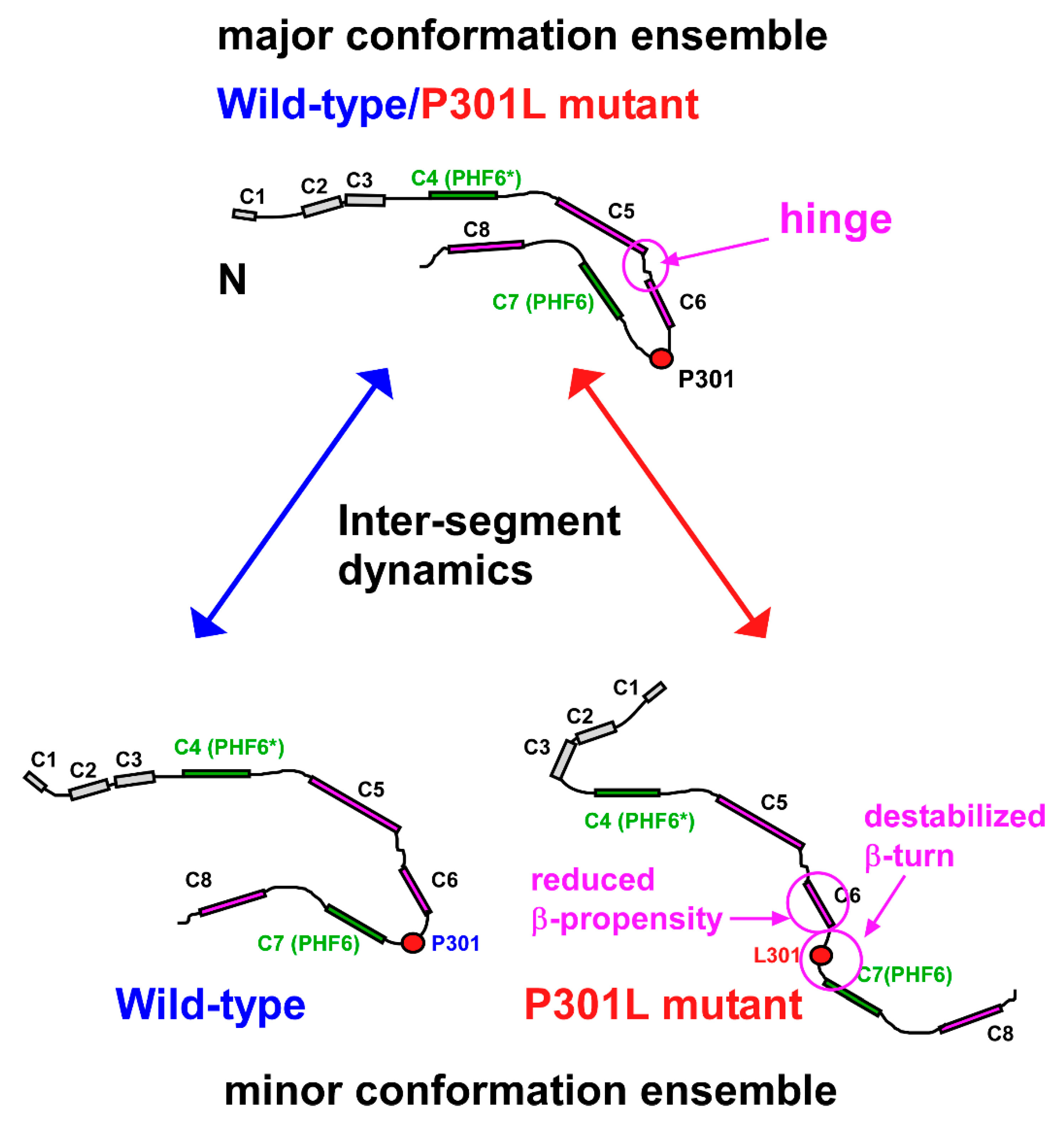 Ijms 21 03920 g008 Ijms 21 03920 g008