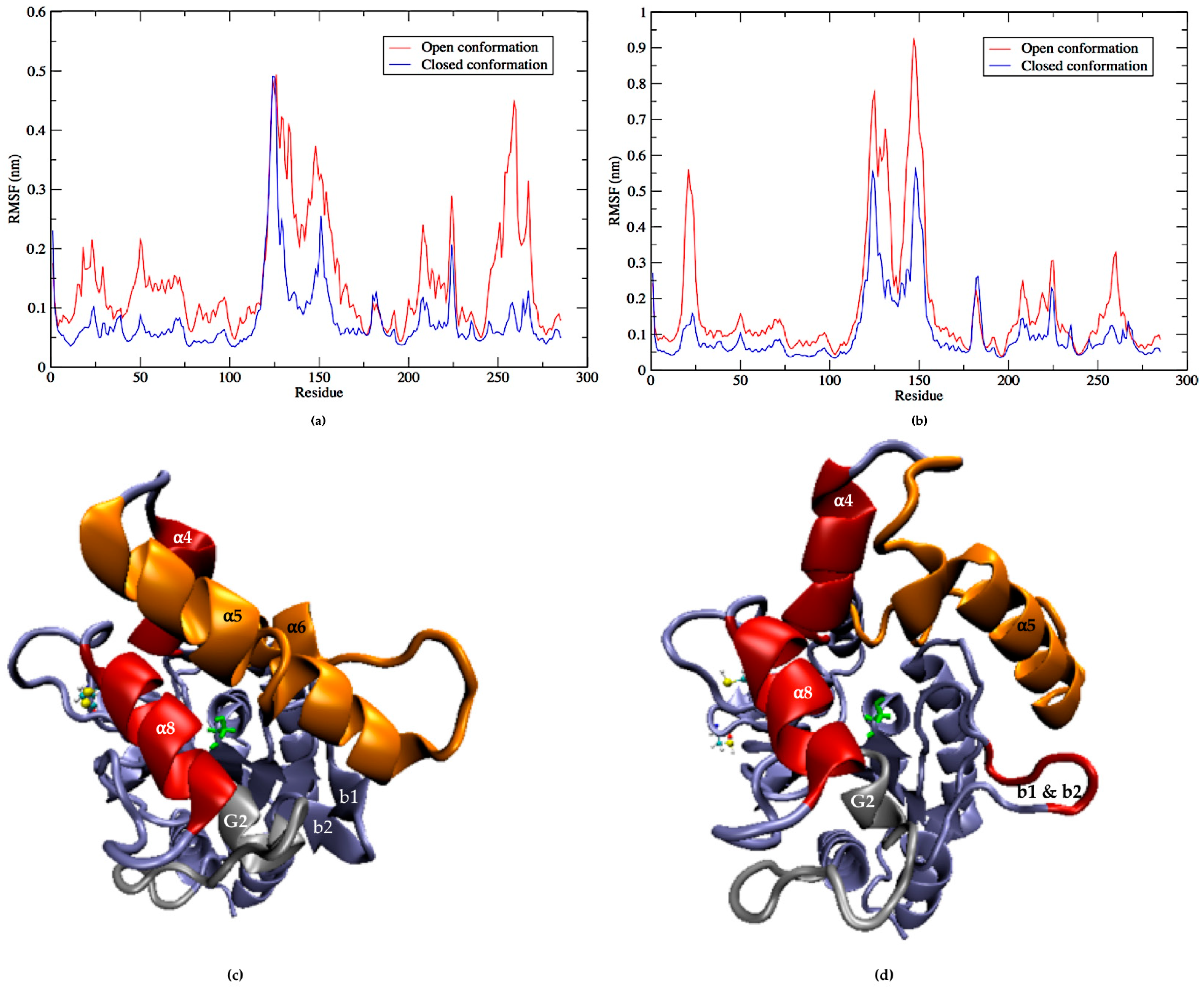 Ijms 21 03925 g006 Ijms 21 03925 g006