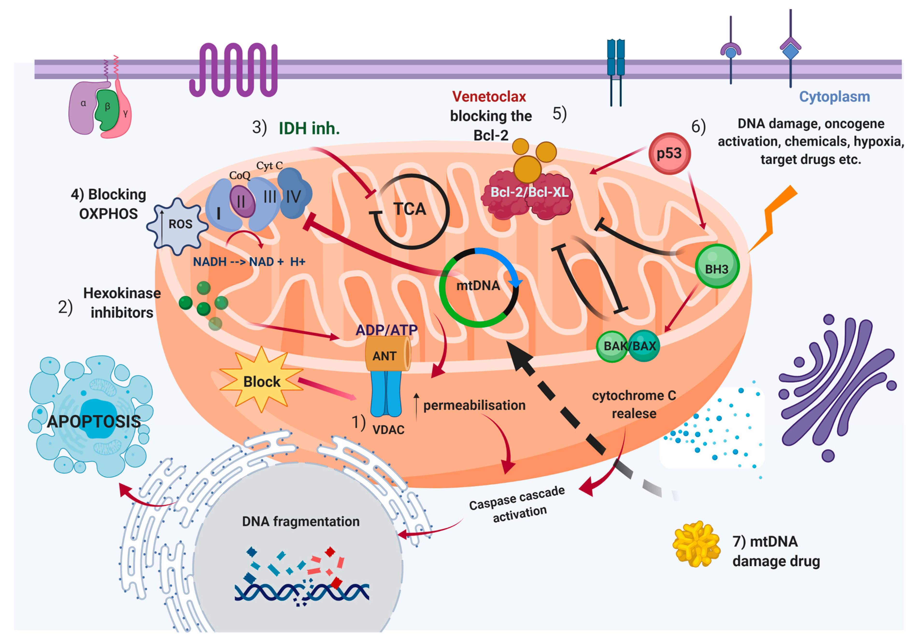 Ijms 21 03928 g002 Ijms 21 03928 g002