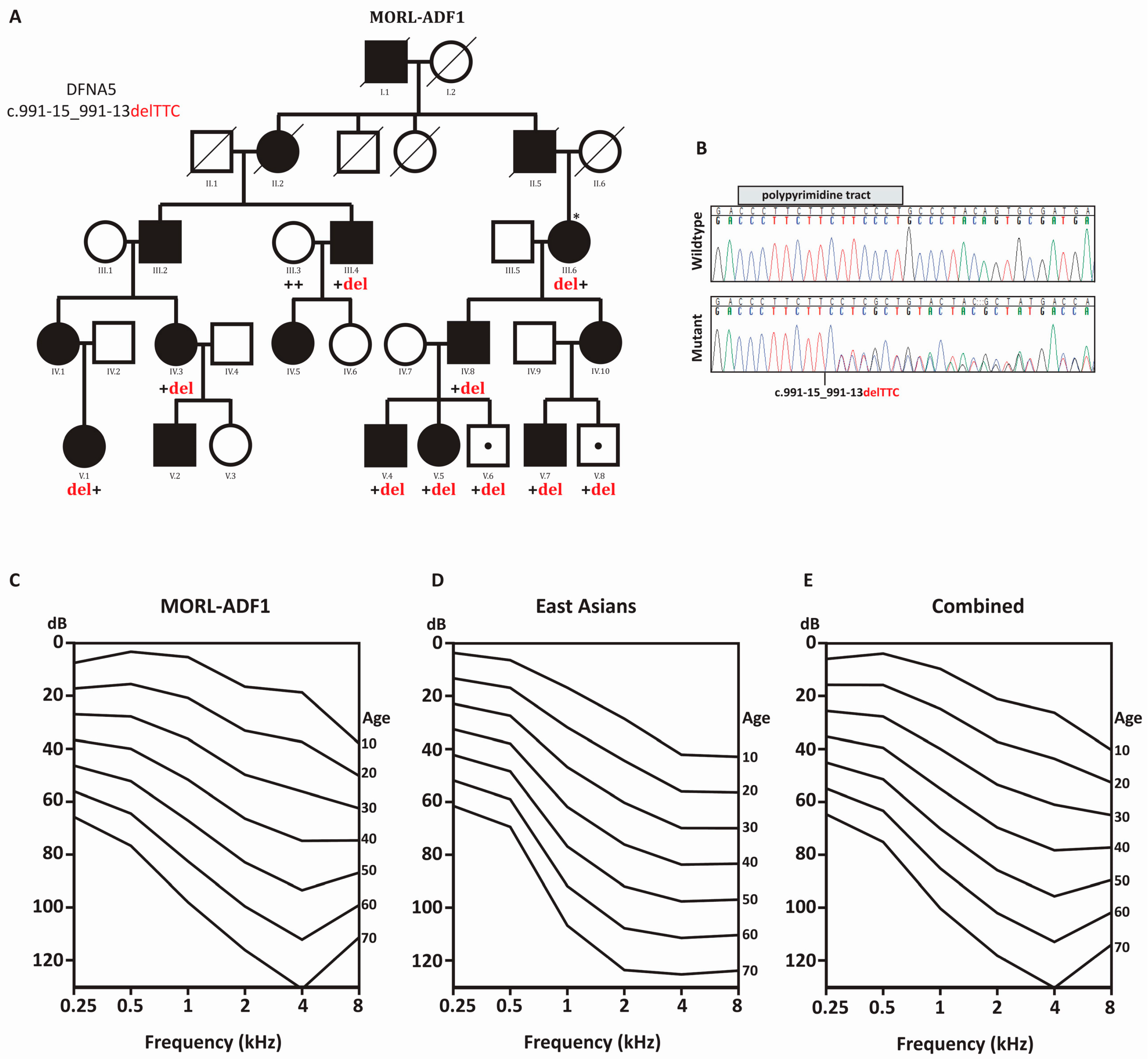 Ijms 21 03951 g001 Ijms 21 03951 g001