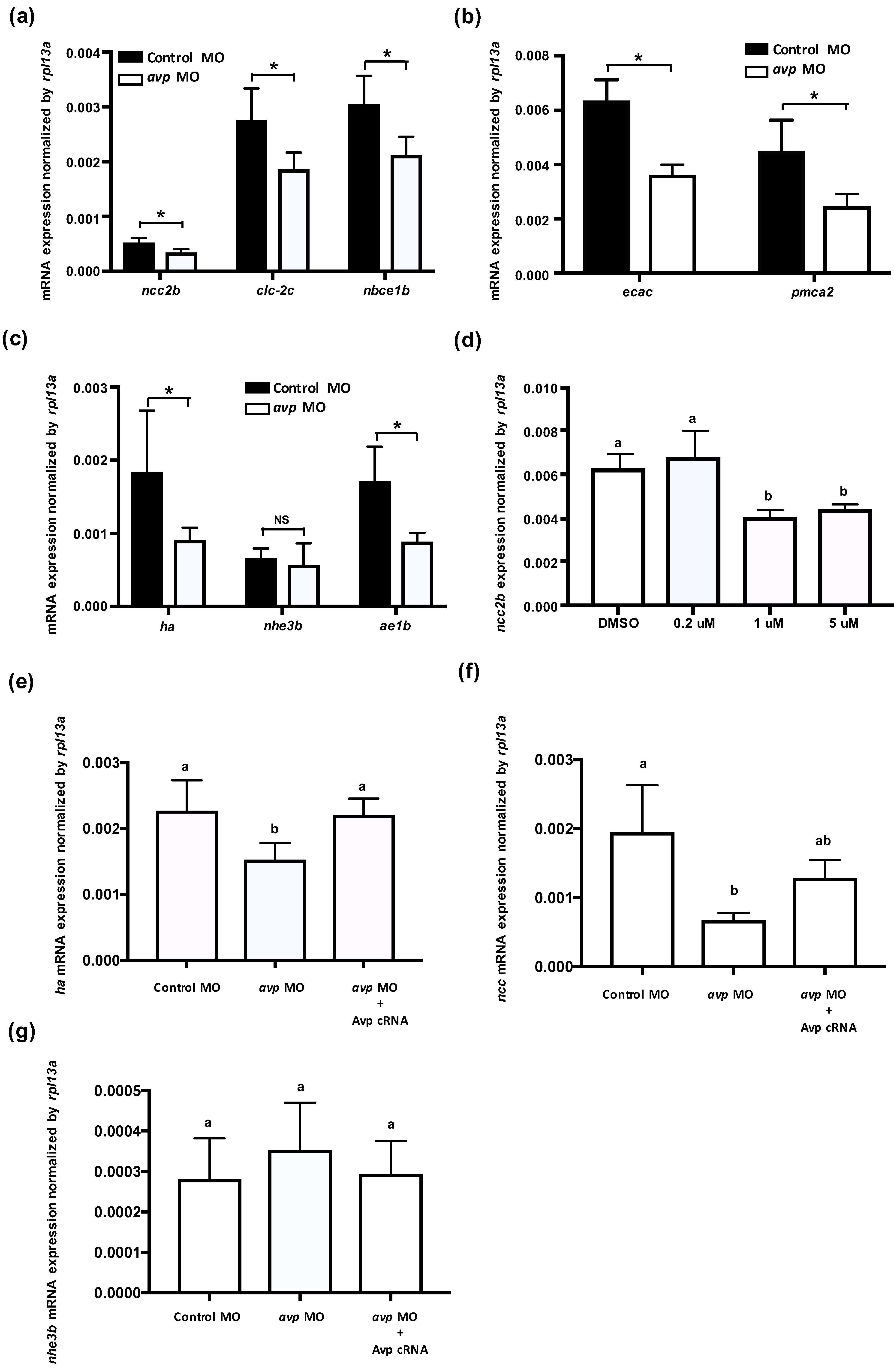 Ijms 21 03957 g003 Ijms 21 03957 g003