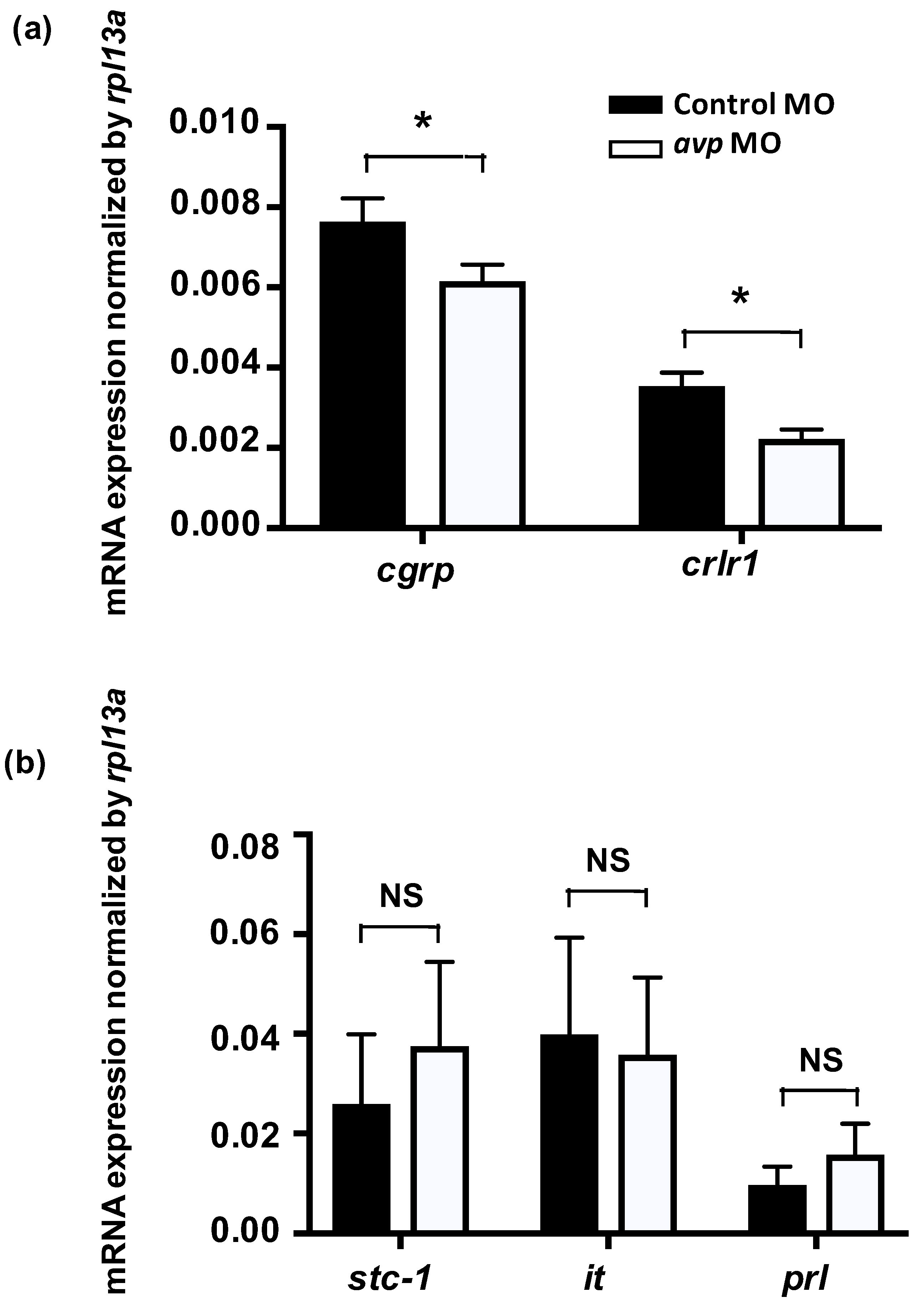 Ijms 21 03957 g007 Ijms 21 03957 g007