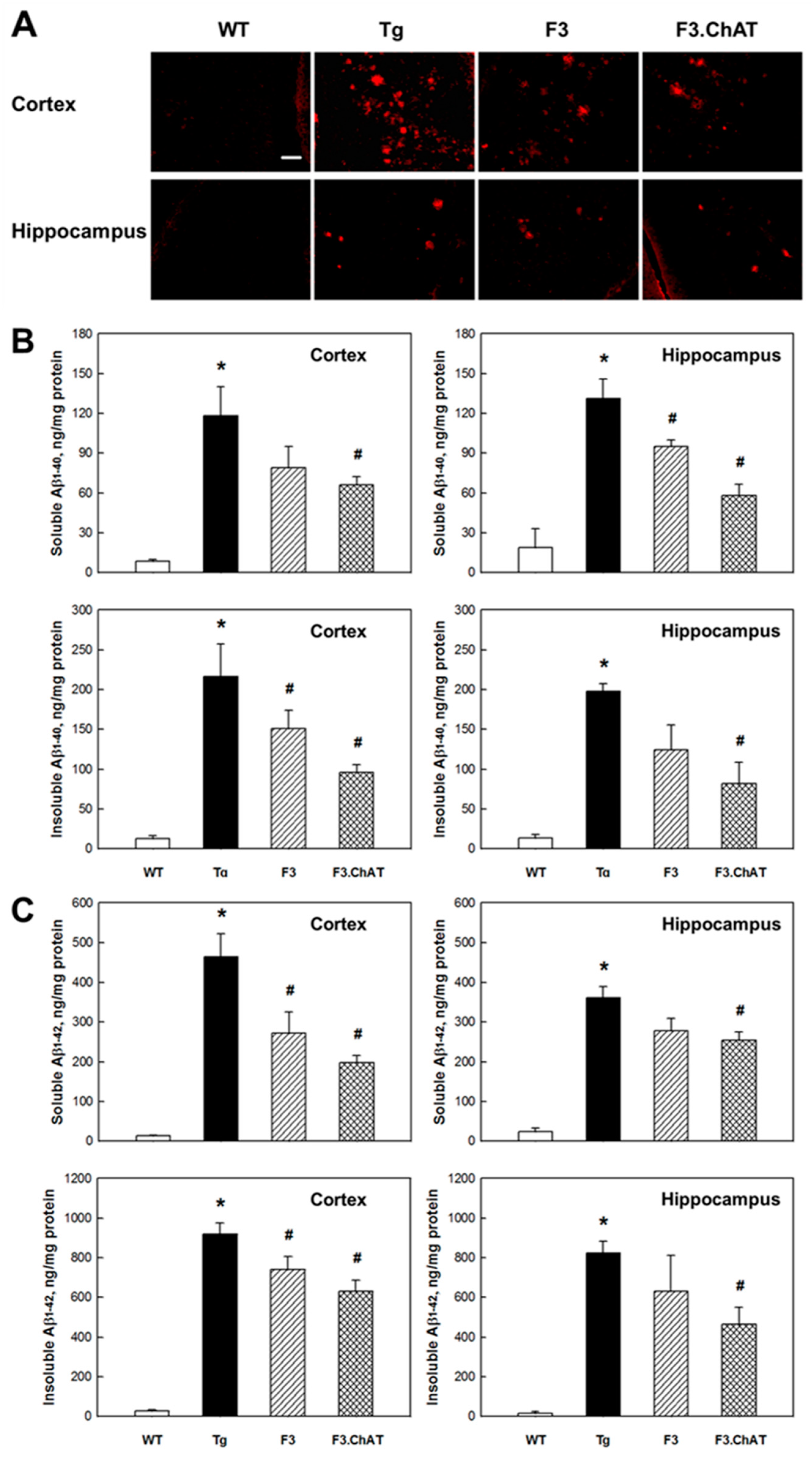 Ijms 21 03958 g004 Ijms 21 03958 g004