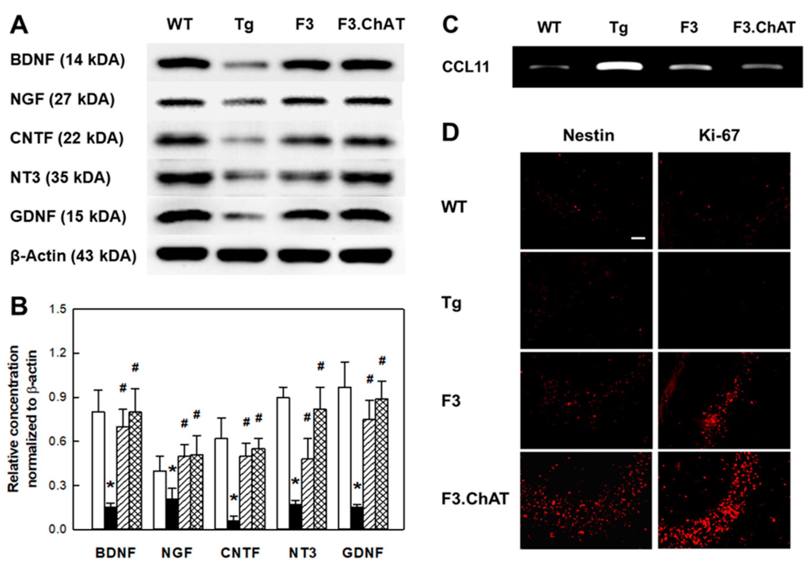 Ijms 21 03958 g005 Ijms 21 03958 g005