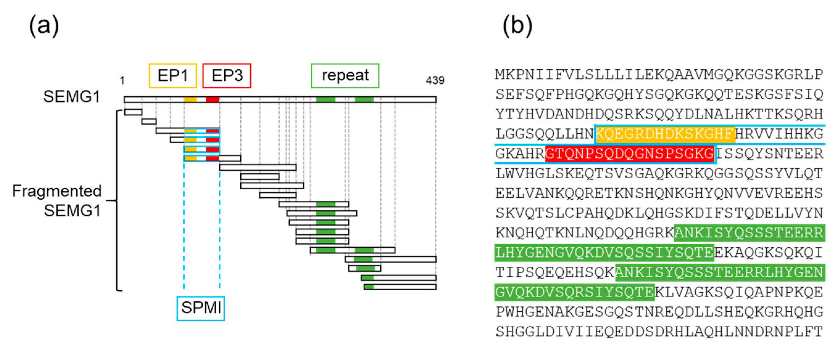 Ijms 21 03961 g002 Ijms 21 03961 g002