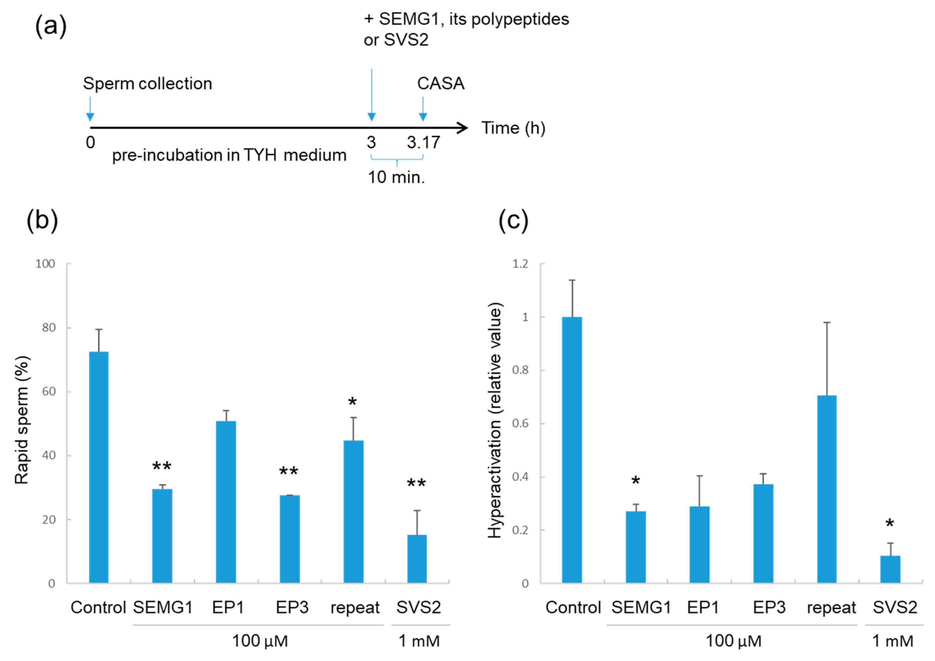 Ijms 21 03961 g004 Ijms 21 03961 g004
