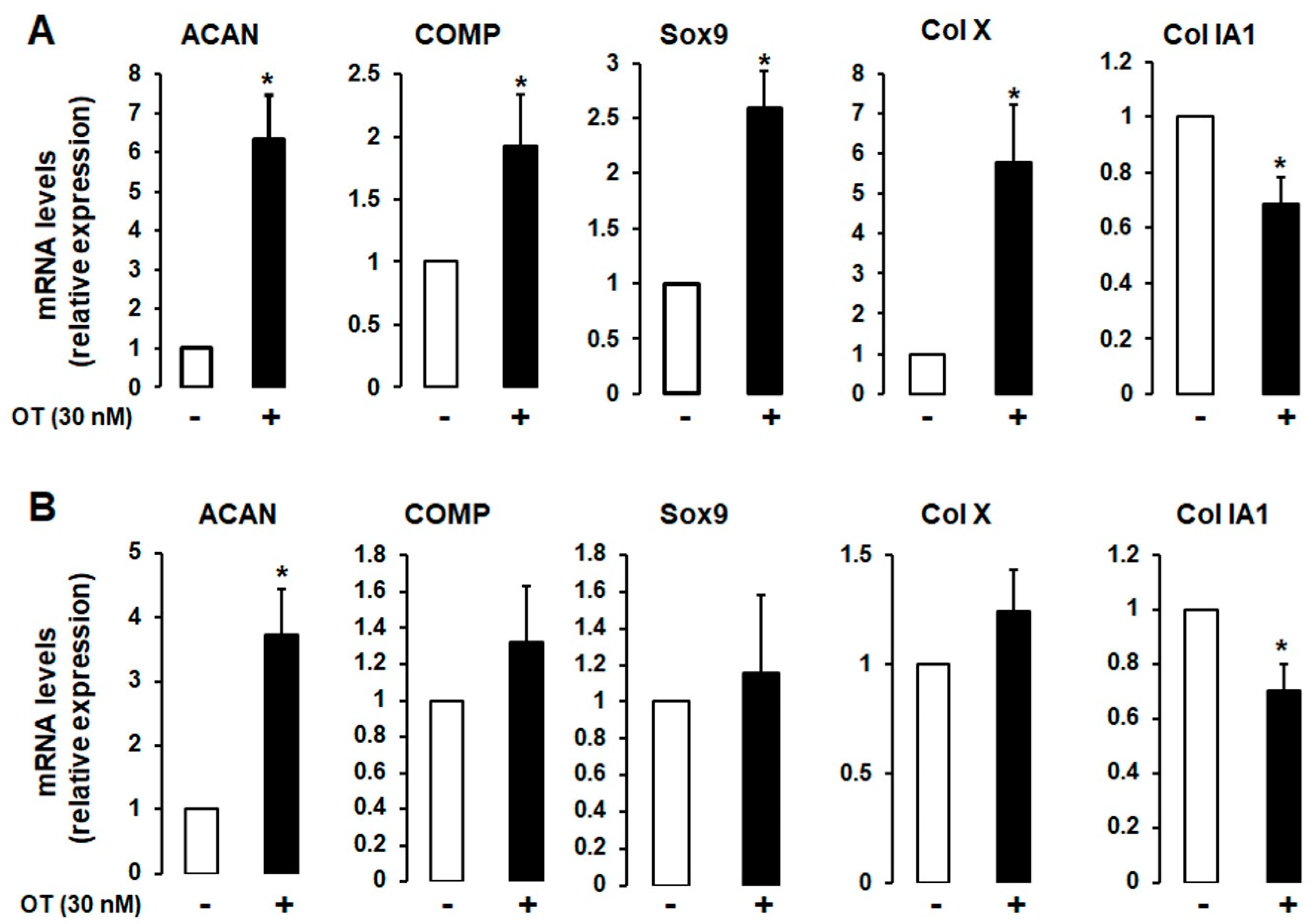 Ijms 21 03966 g002 Ijms 21 03966 g002