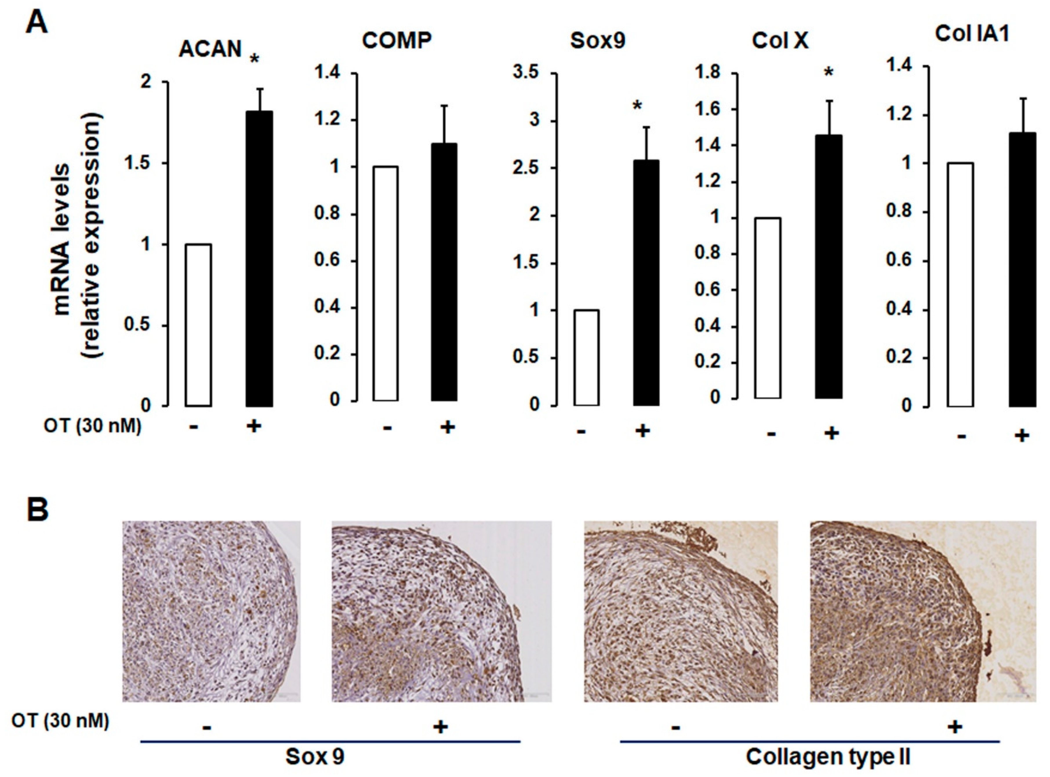 Ijms 21 03966 g003 Ijms 21 03966 g003