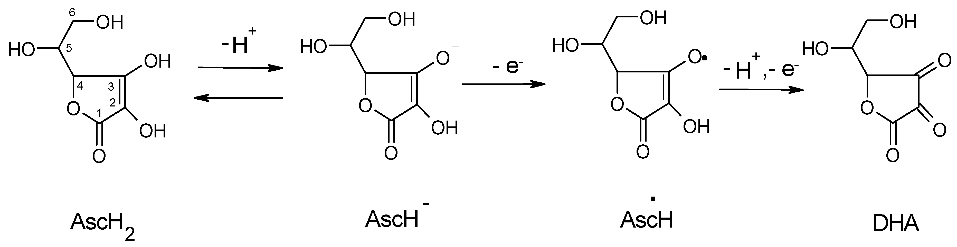 Ijms 21 03967 sch001