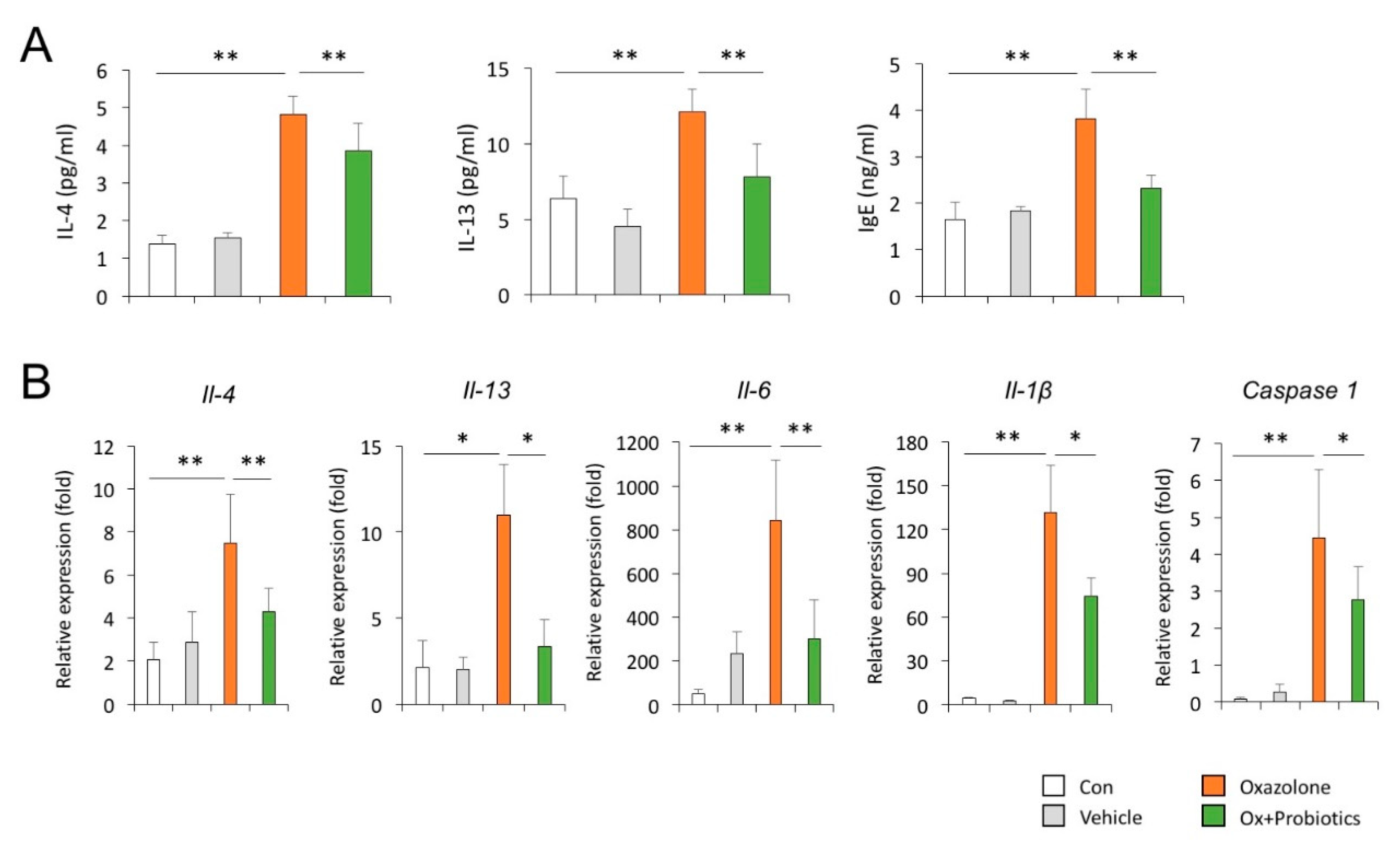 Ijms 21 03968 g003 Ijms 21 03968 g003